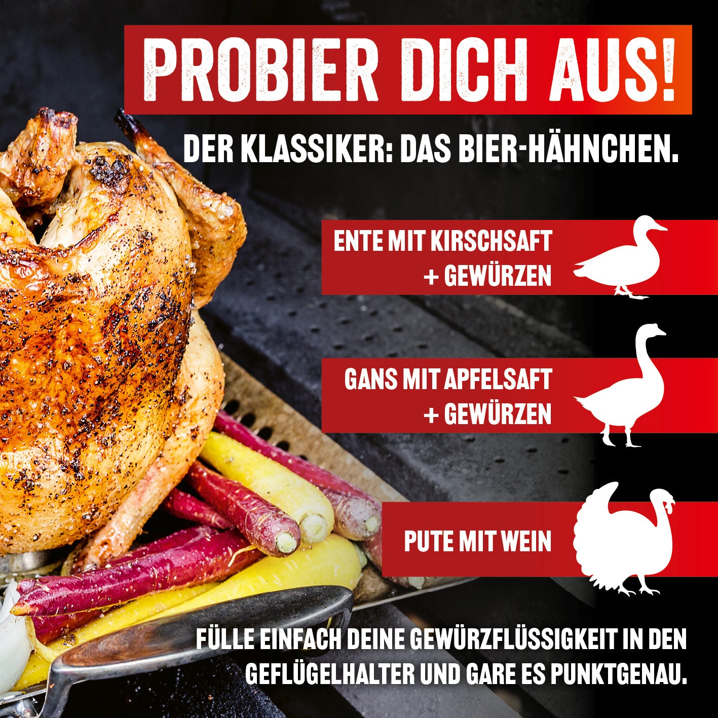 Selection Hähnchenhalter aus Edelstahl zum Aromatisieren von Geflügel mit Marinaden in geschlossenen Grillgeräten und Backöfen.