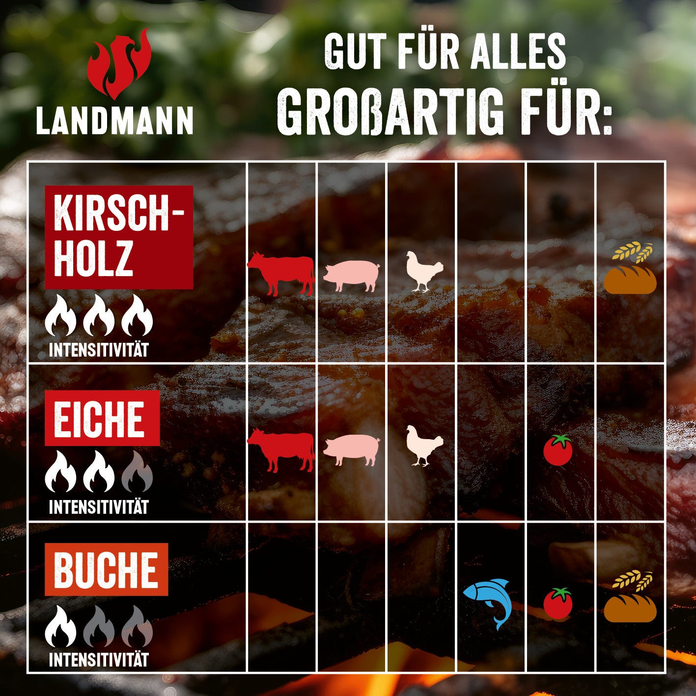 Grillpellets Buchenholz 10 kg für vielseitiges Grillen mit mild rauchigem Aroma, ideal für Geflügel, Fisch, Gemüse und Brot.