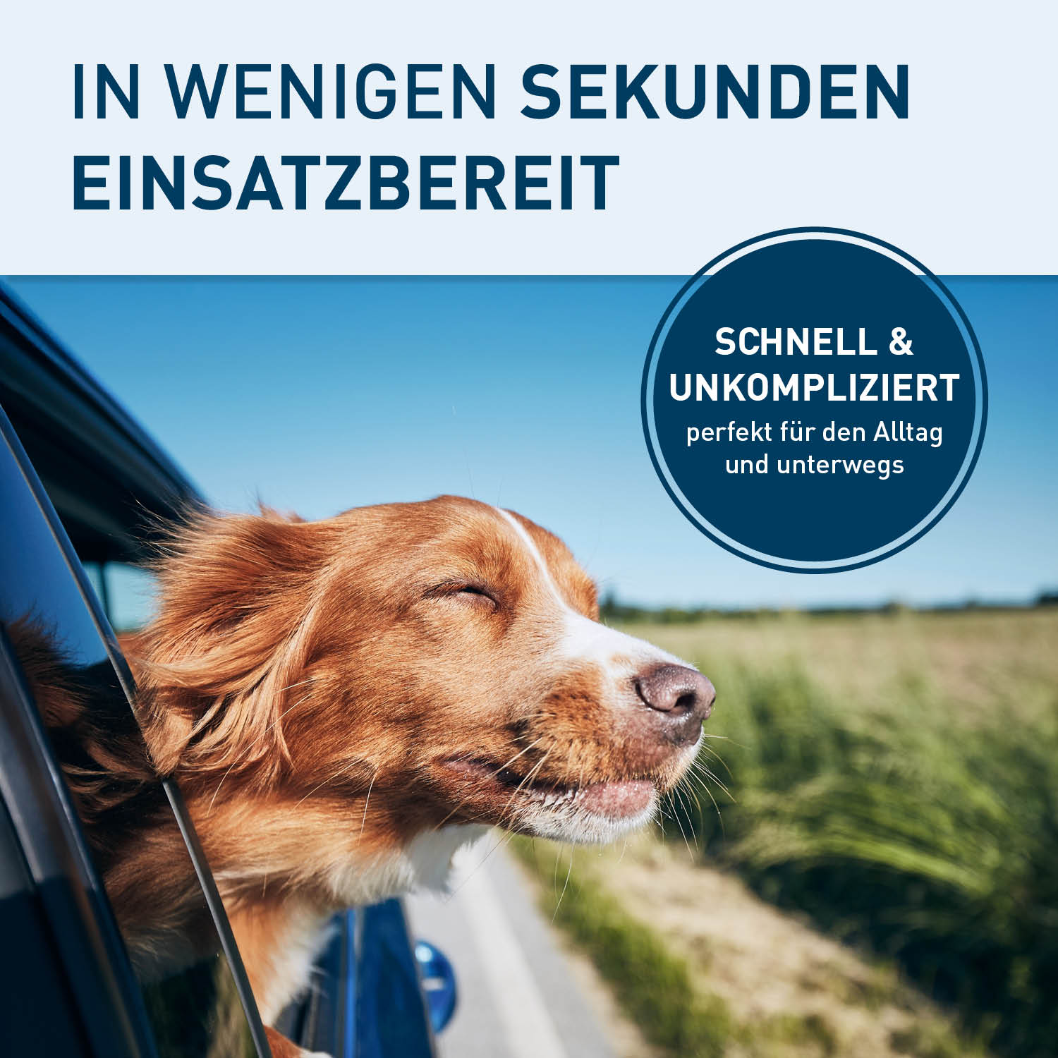 Hundeautositz – wasserfeste Hundebox – S