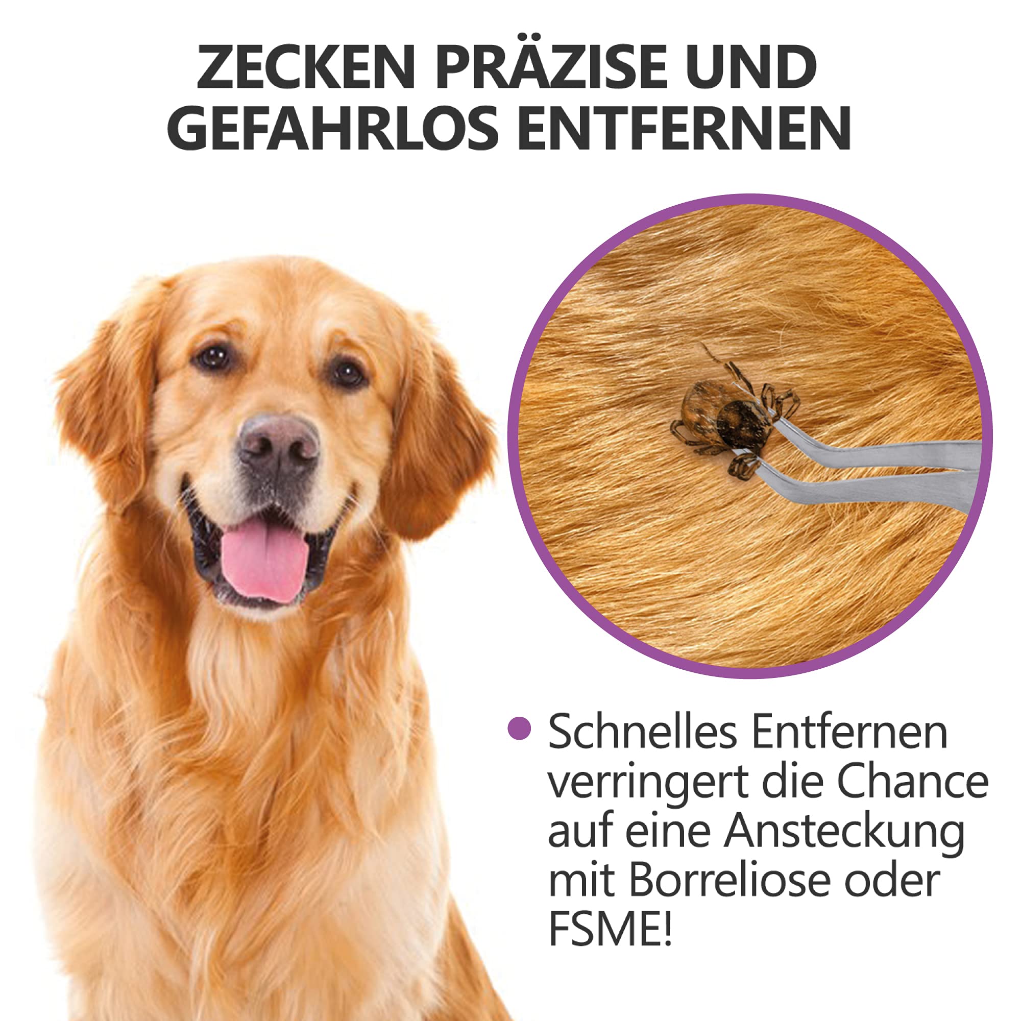 2-in-1 Profi Zeckenzange - für Hunde und Katzen - Violett