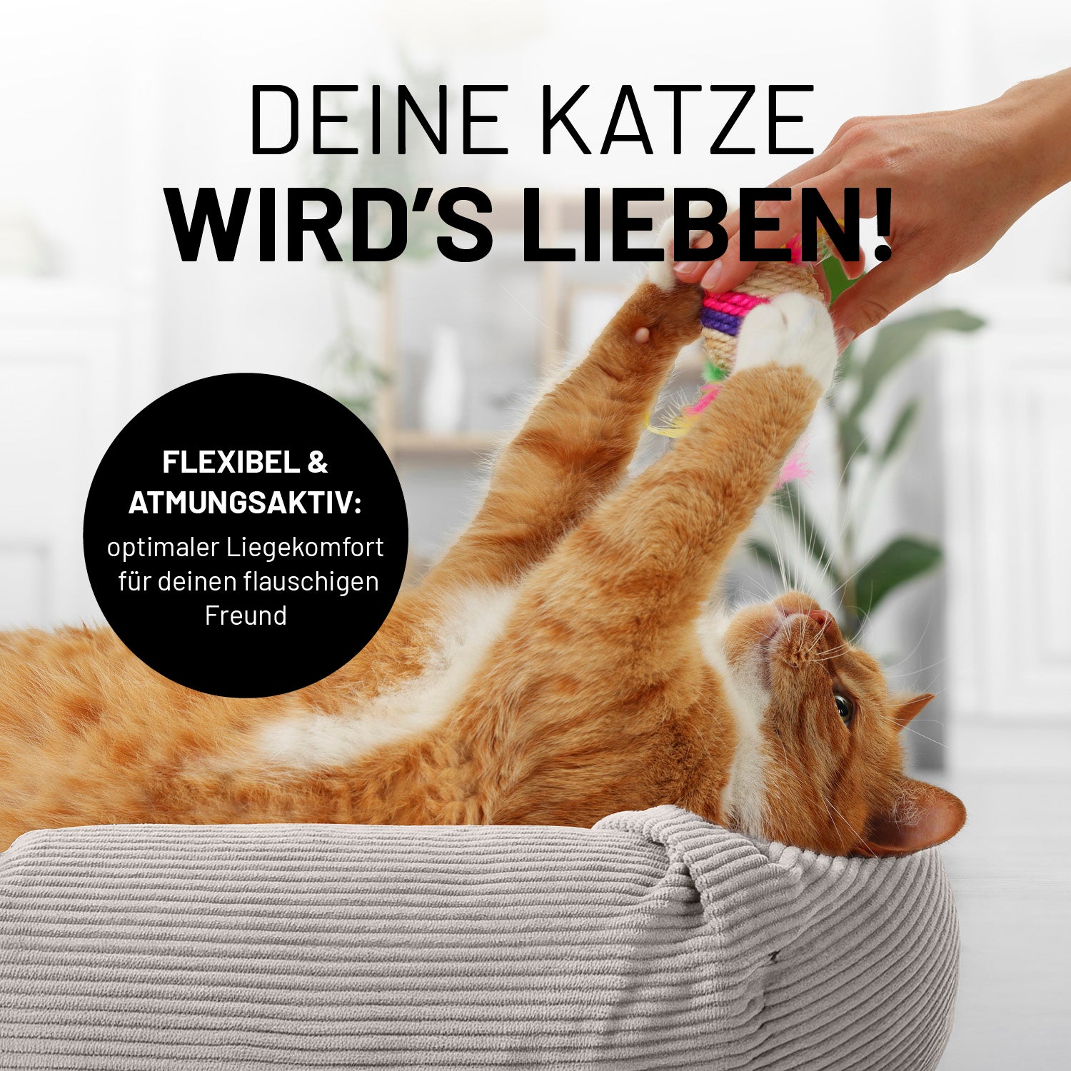 Komfort-Katzenbett aus der LUMALAND Cord-Reihe - Ø 60 cm - Beige