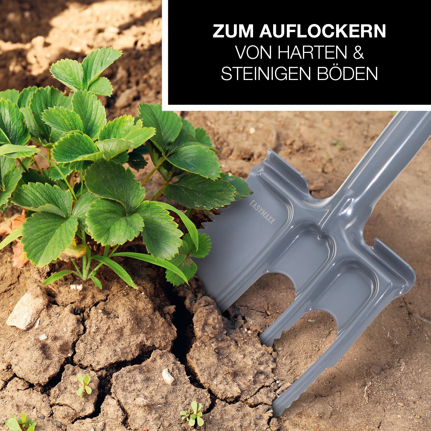 Spatengabel mit Wurzelsäge beim Auflockern von hartem, steinigem Boden neben einer grünem Pflanze.