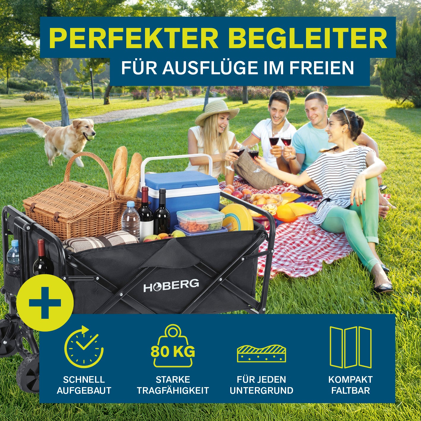 Klapp-Bollerwagen mit Bremsen - max. 80 kg, Galerie 2, quadratische Ansicht unter Sonnenschein mit Picknick im Freien.