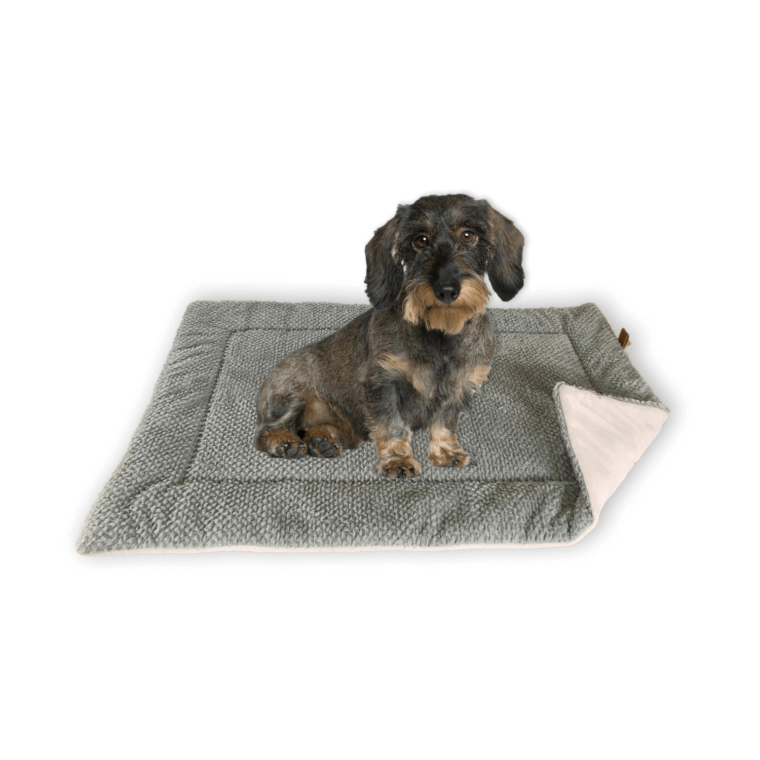 Hundedecke/Hundekissen - Wildlederimitat - Größe S (73 x 45 cm) - grau mit kleinem Hund, weich und rutschfest.