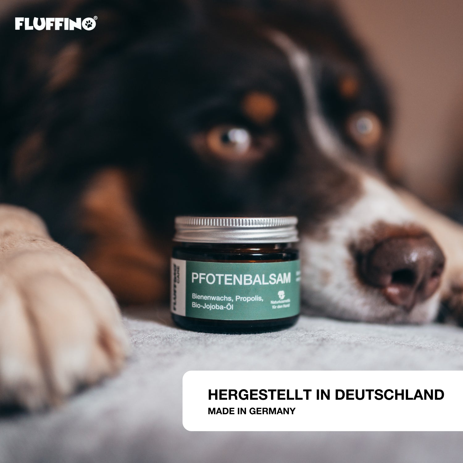 Pfotenbalsam - 50 ml - 100% natürlicher Pfotenschutz