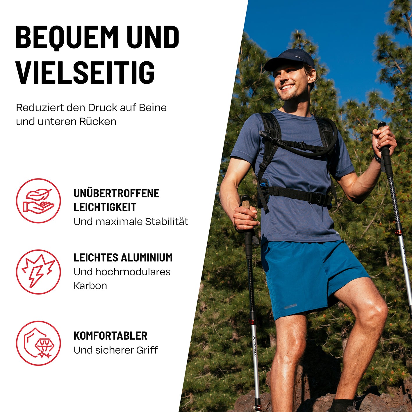 Teleskop Wanderstöcke - CarbonMix - 110 cm / 135 cm