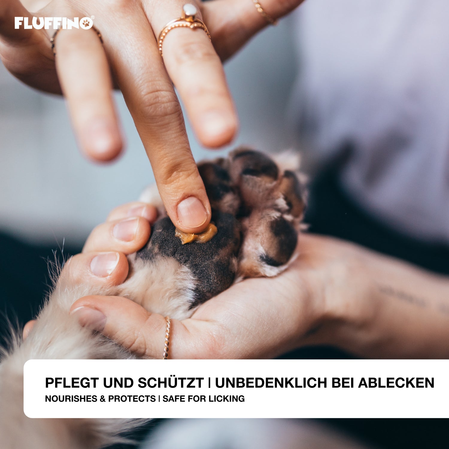 Pfotenbalsam - 50 ml - 100% natürlicher Pfotenschutz