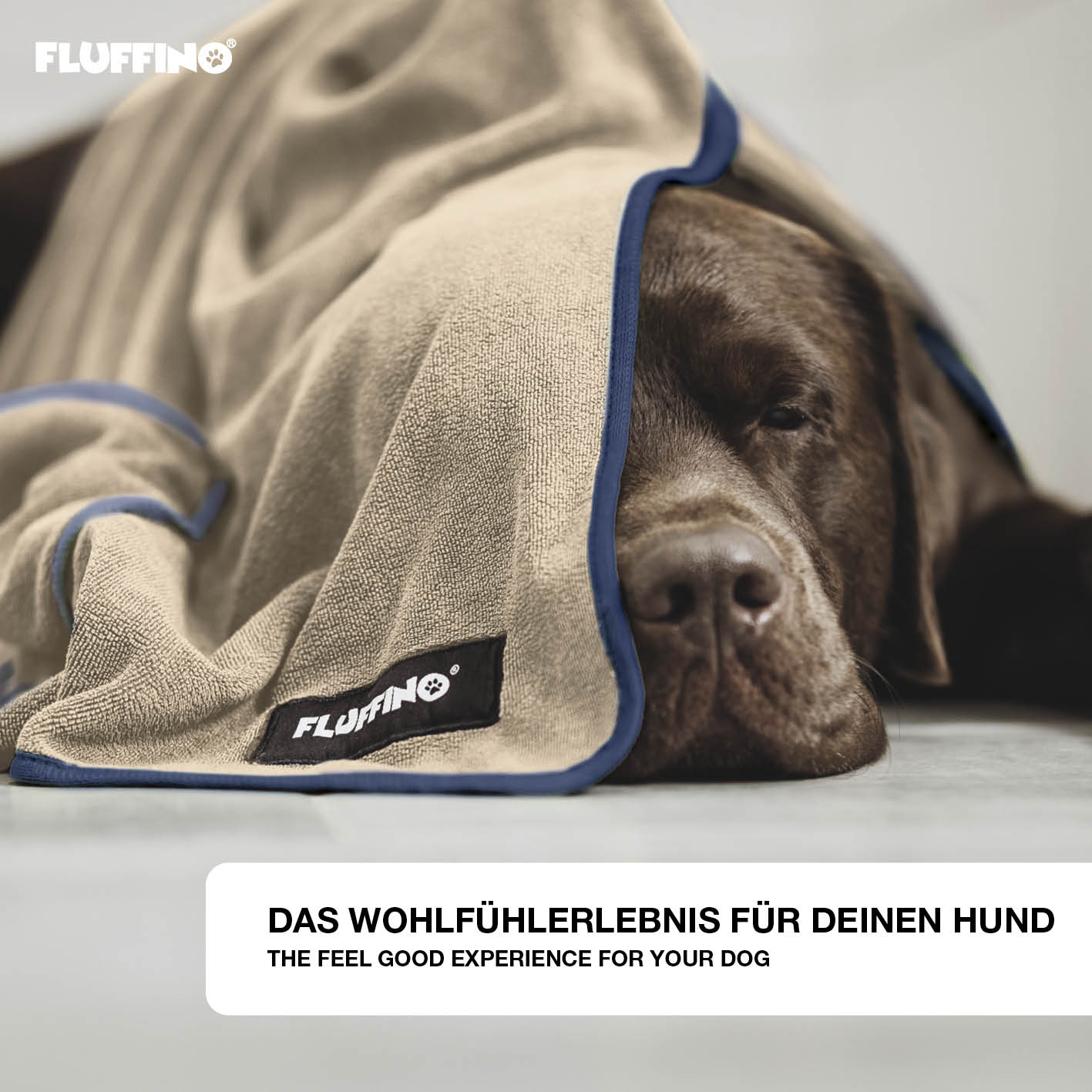 Hundehandtuch Mikrofaser – 2er-Pack - 90 x 50 cm - Beige & Blau