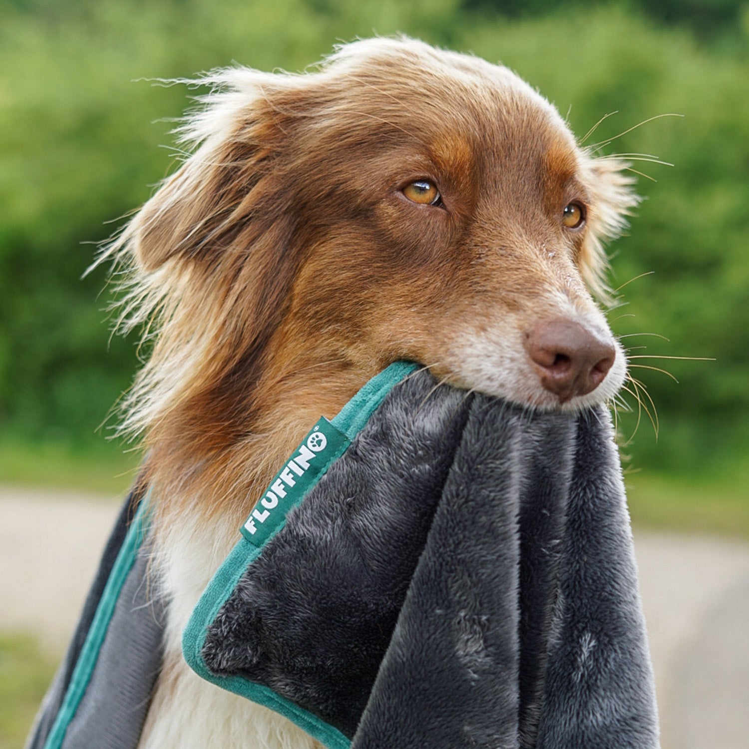 Hundedecke/ Wendedecke /Kuscheldecke - 150x100 cm - Grau