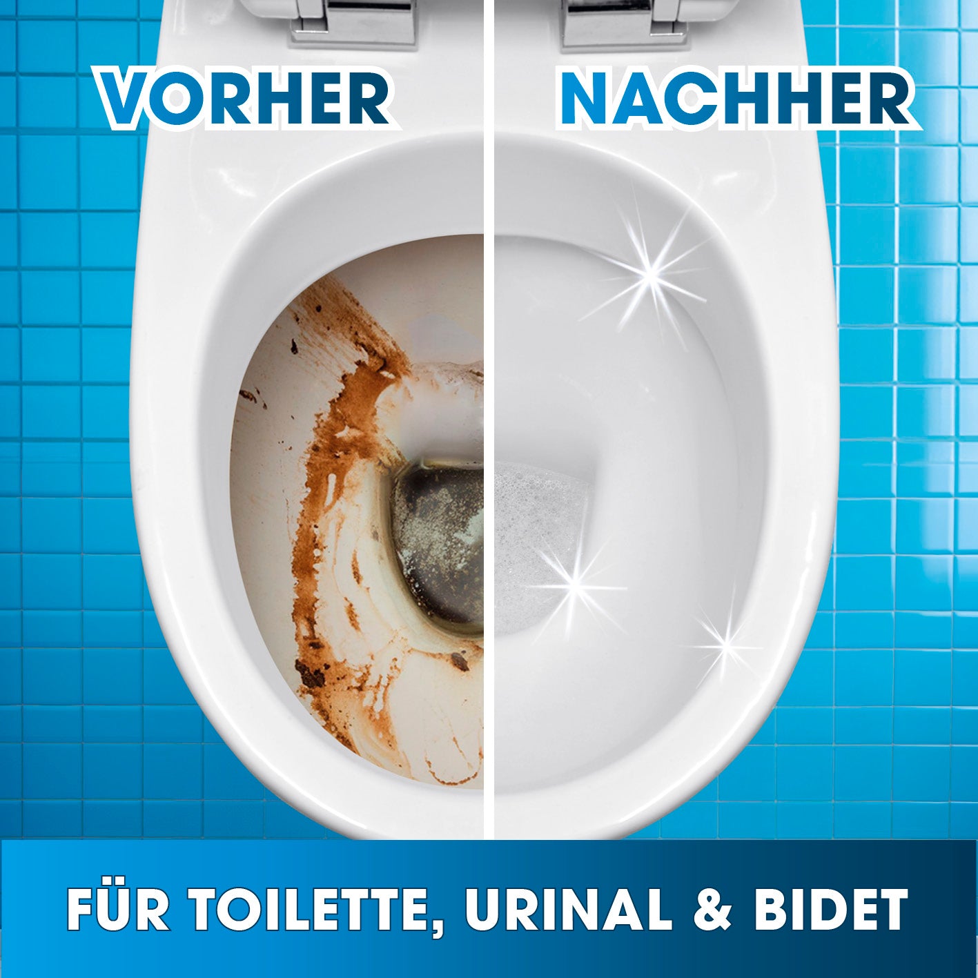 WC-Intensivschaum - 1,5 kg