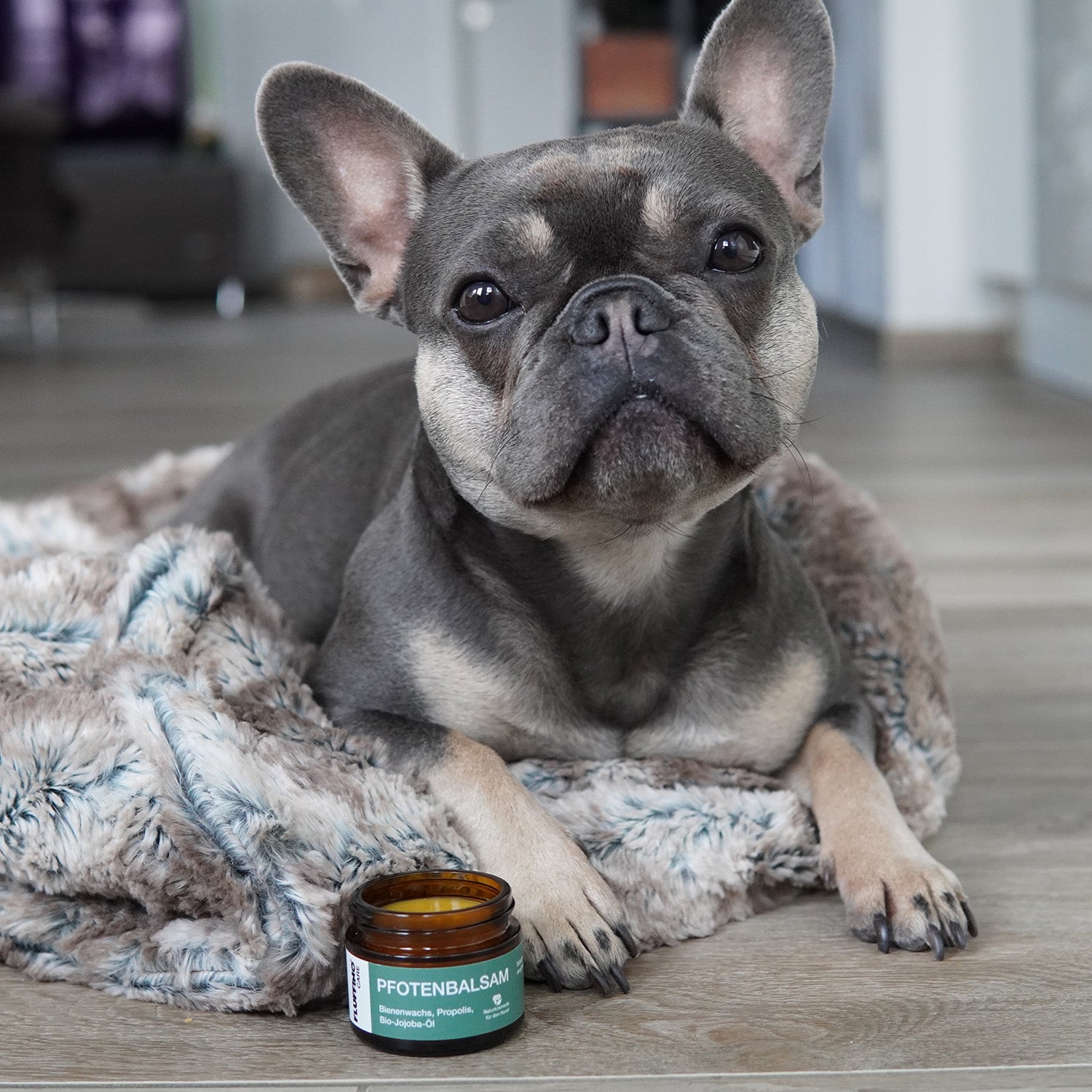 Pfotenbalsam - 50 ml - 100% natürlicher Pfotenschutz
