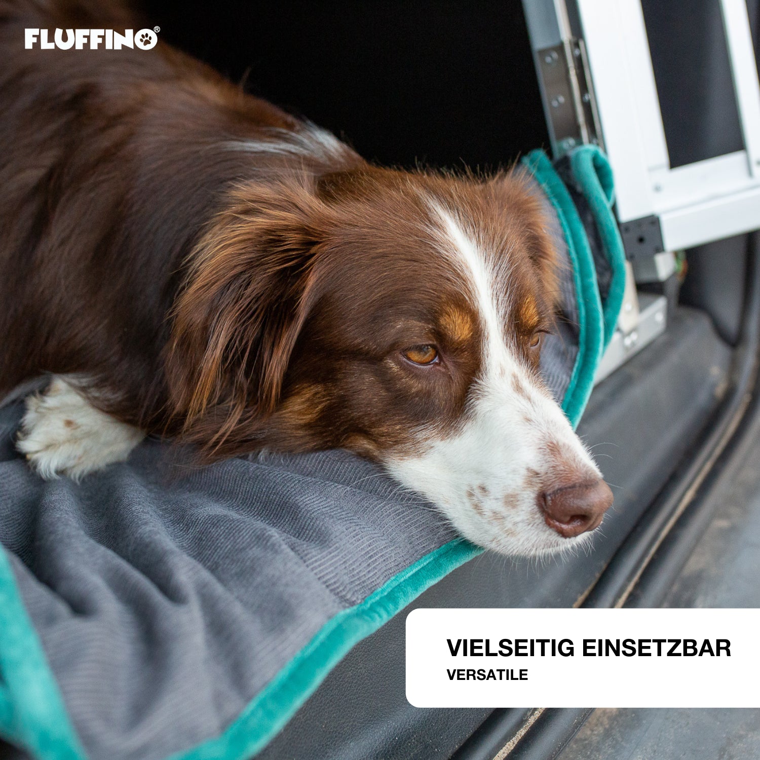 Hundedecke/ Wendedecke /Kuscheldecke - 150x100 cm - Grau