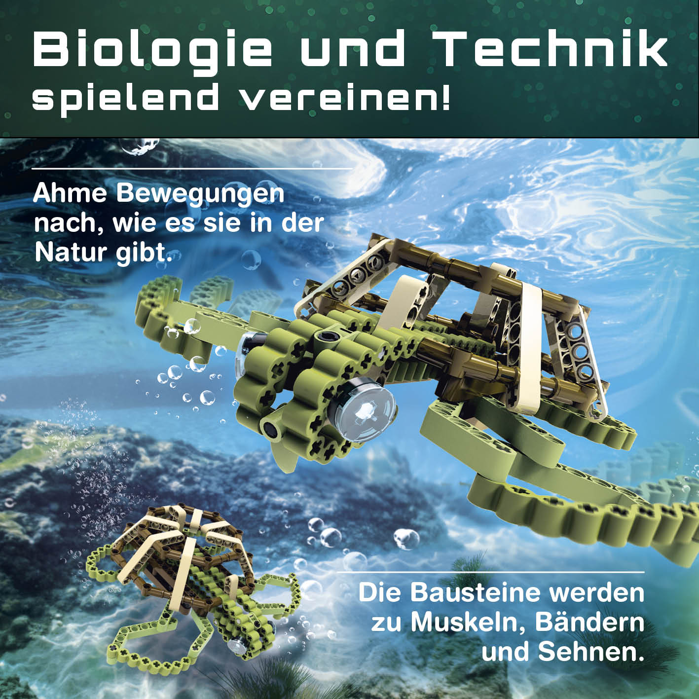 Baustein-Set Schildkröte zeigt flexible Bausteine, die Naturbewegungen nachahmen und Muskeln sowie Sehnen simulieren.