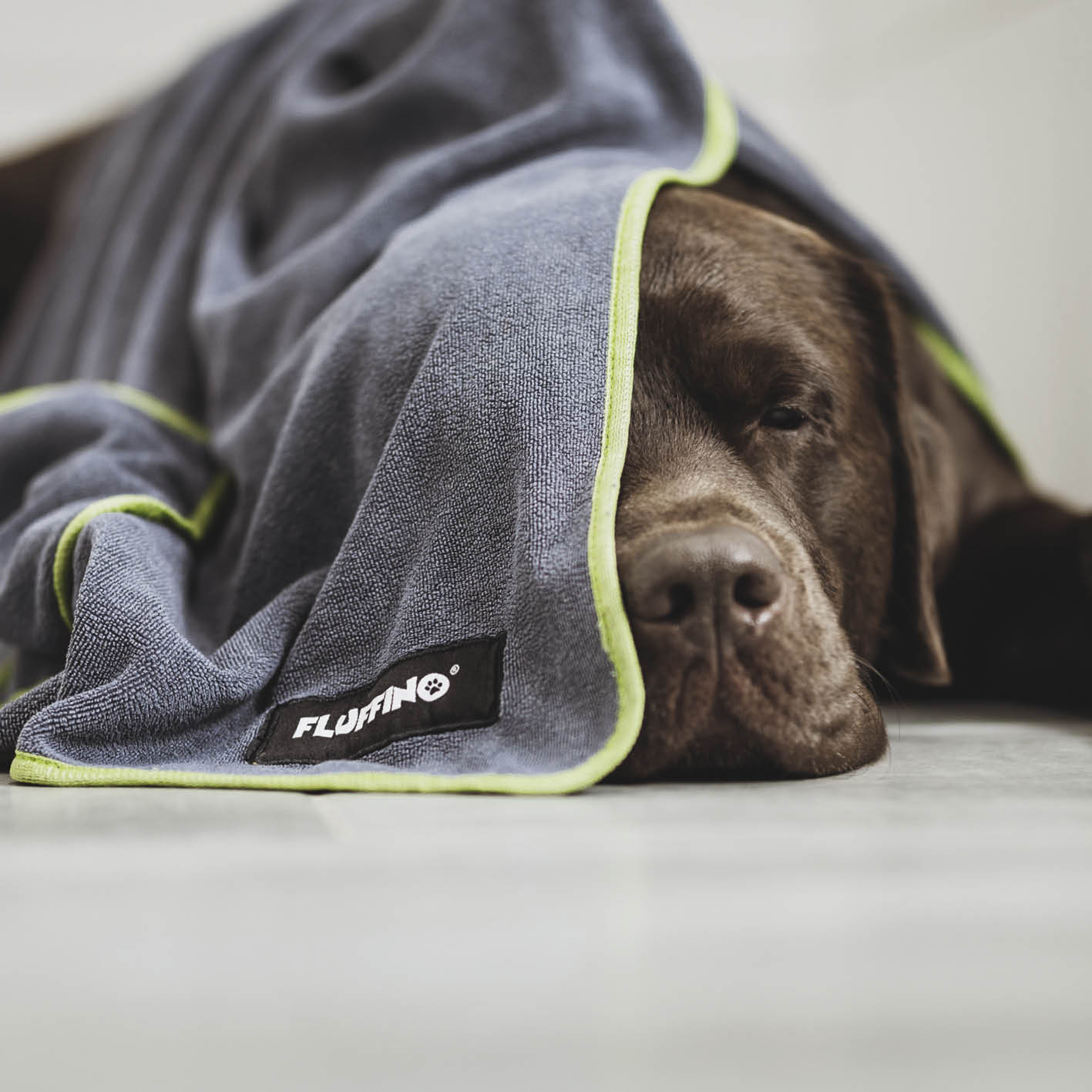 Hundehandtuch Mikrofaser – 4er-Pack - Grau & Grün von FLUFFINO, saugfähig, schnell trocknend, handlich für kleine und mittelgroße Hunde.