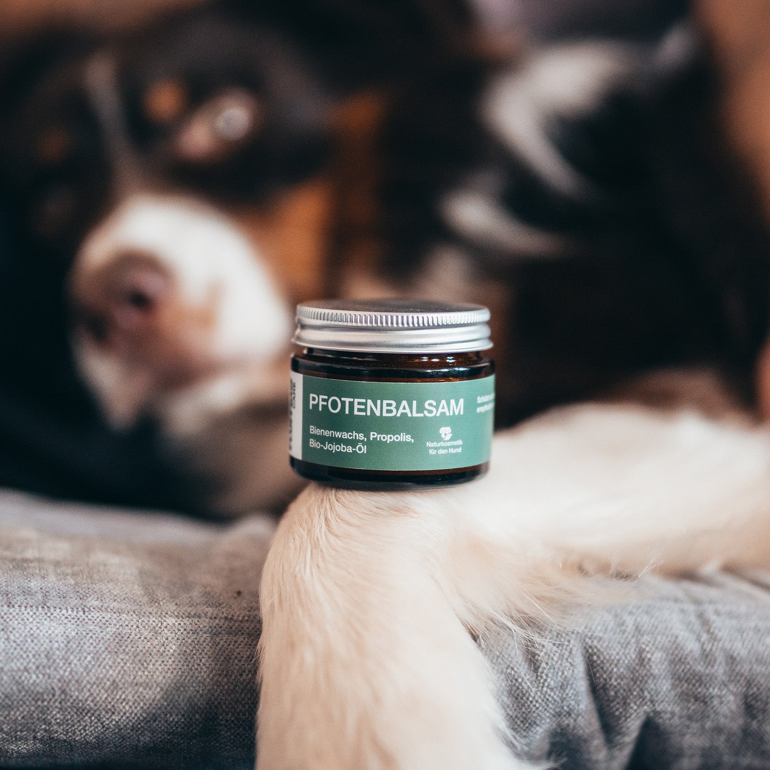 Pfotenbalsam - 50 ml - 100% natürlicher Pfotenschutz