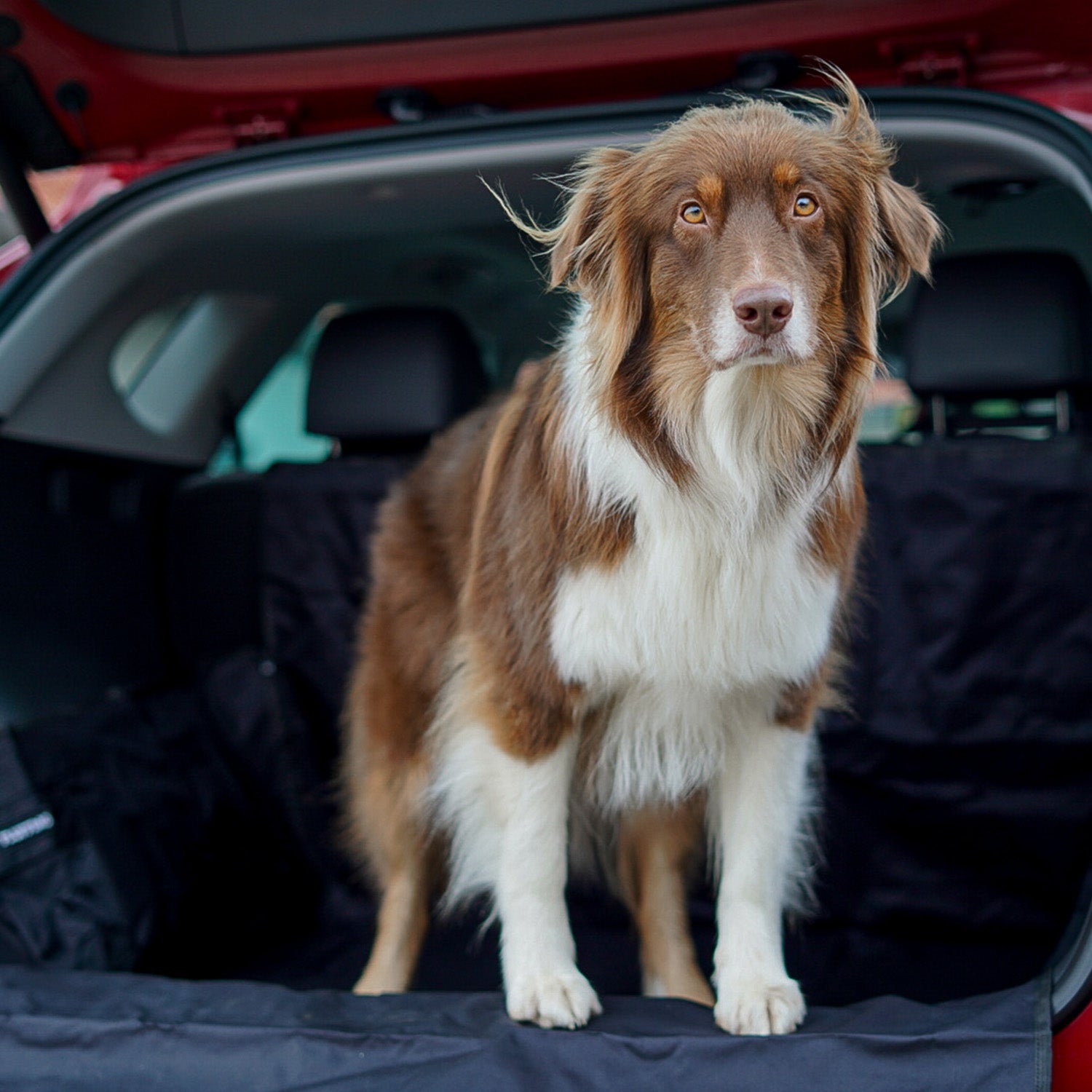 Kofferraumschutz für Hund inkl. Seiten- & Ladekantenschutz - dunkelgrau, wasserdichte und kratzfeste Autoschondecke mit einfacher Montage.