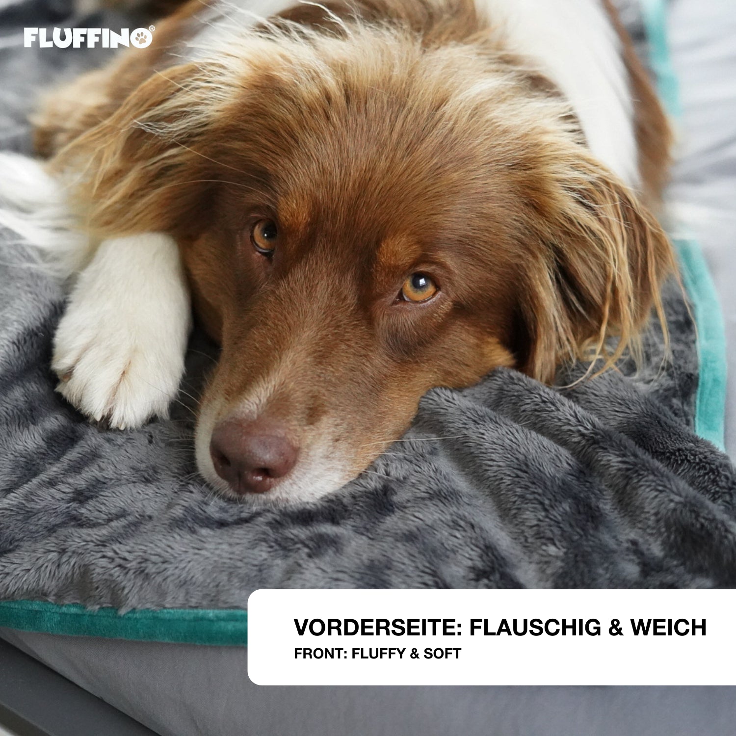 Hundedecke/ Wendedecke /Kuscheldecke - 150x100 cm - Grau