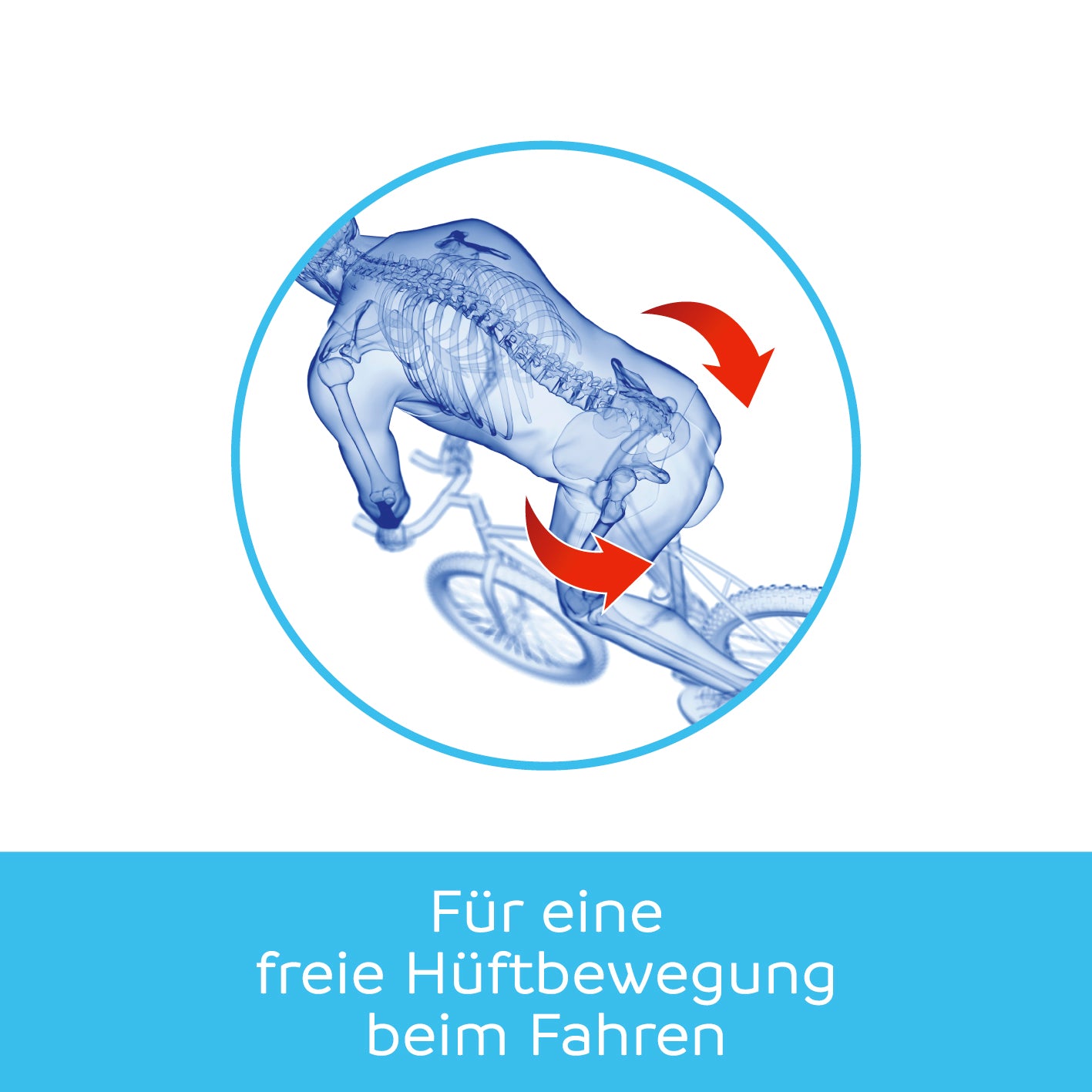 freibeik advanced - Das bewegliche Sattelgelenk 2.0 - 2er-Set
