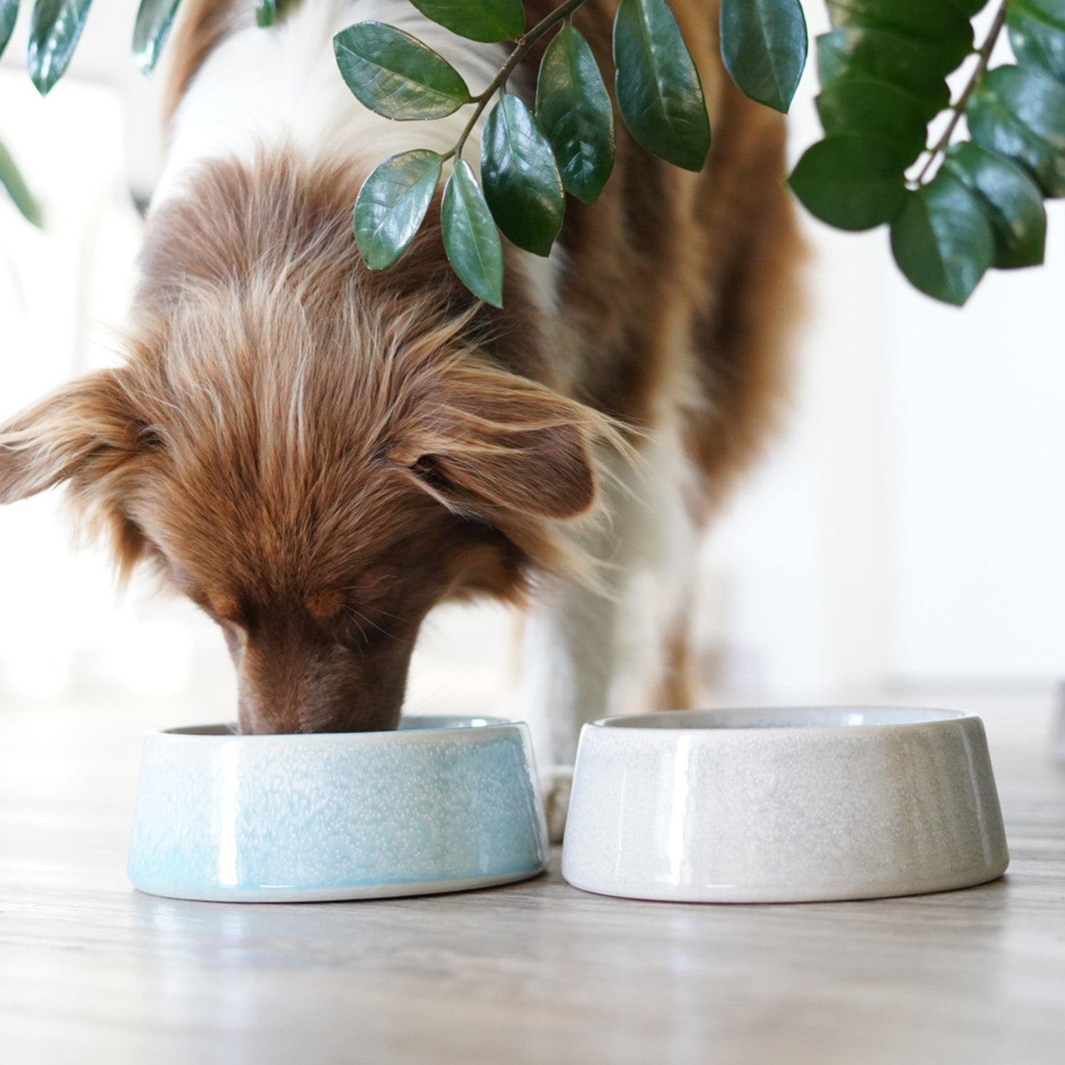 Hundenapf / Futternapf Keramik - 800 ml in Blau, handgefertigt, lebensmittelecht und spülmaschinenfest für kleine und mittlere Hunde.