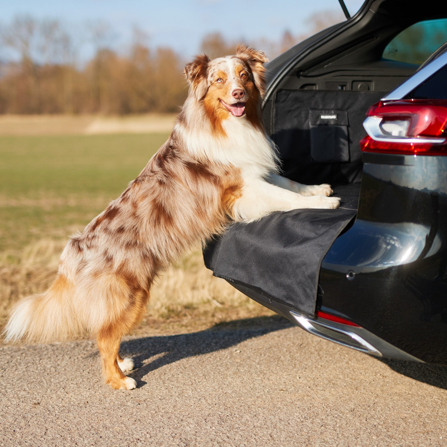 Kofferraumschutz für Hund inkl. Seiten- & Ladekantenschutz dunkelgrau schützt Kofferraum vor Schmutz, Nässe und Kratzern.