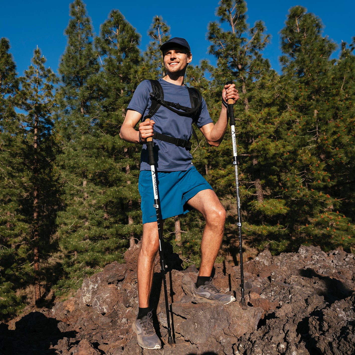Teleskop Wanderstöcke - Carbon - 110 cm / 135 cm