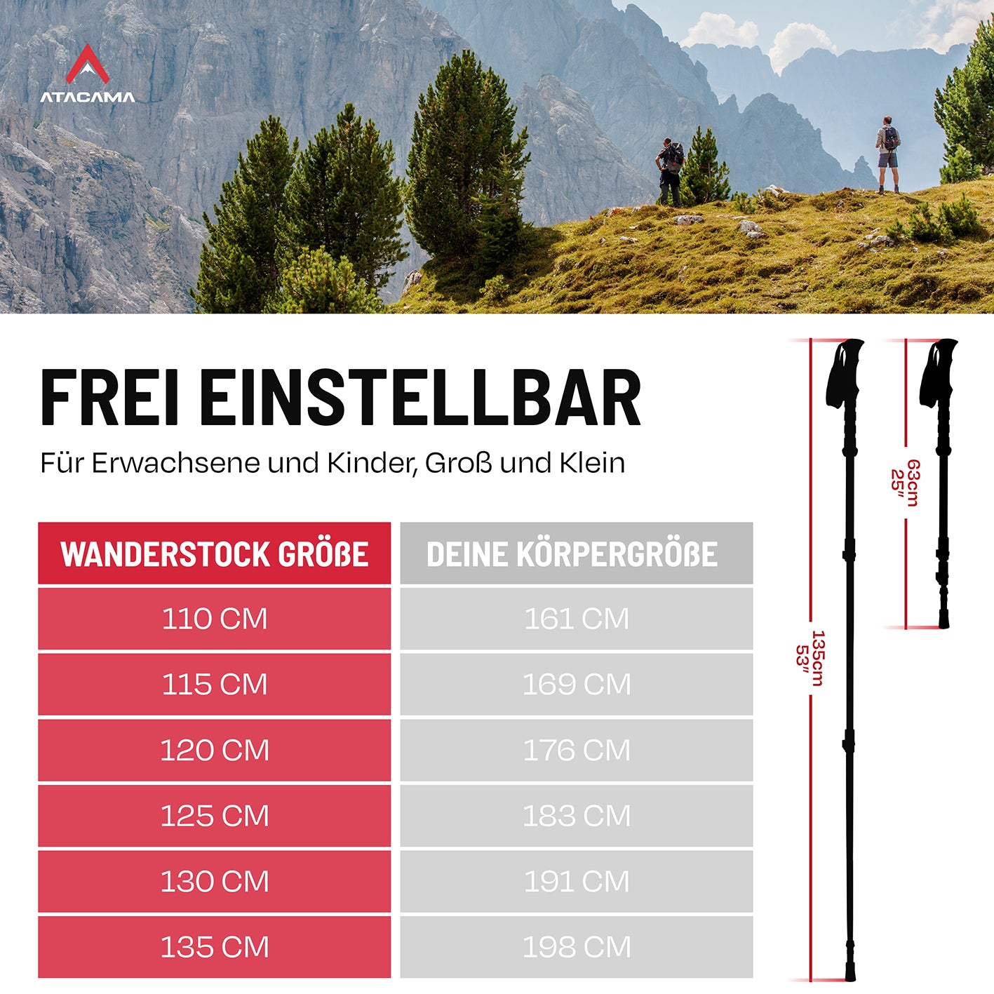 Teleskop Wanderstöcke - CarbonMix - 110 cm / 135 cm