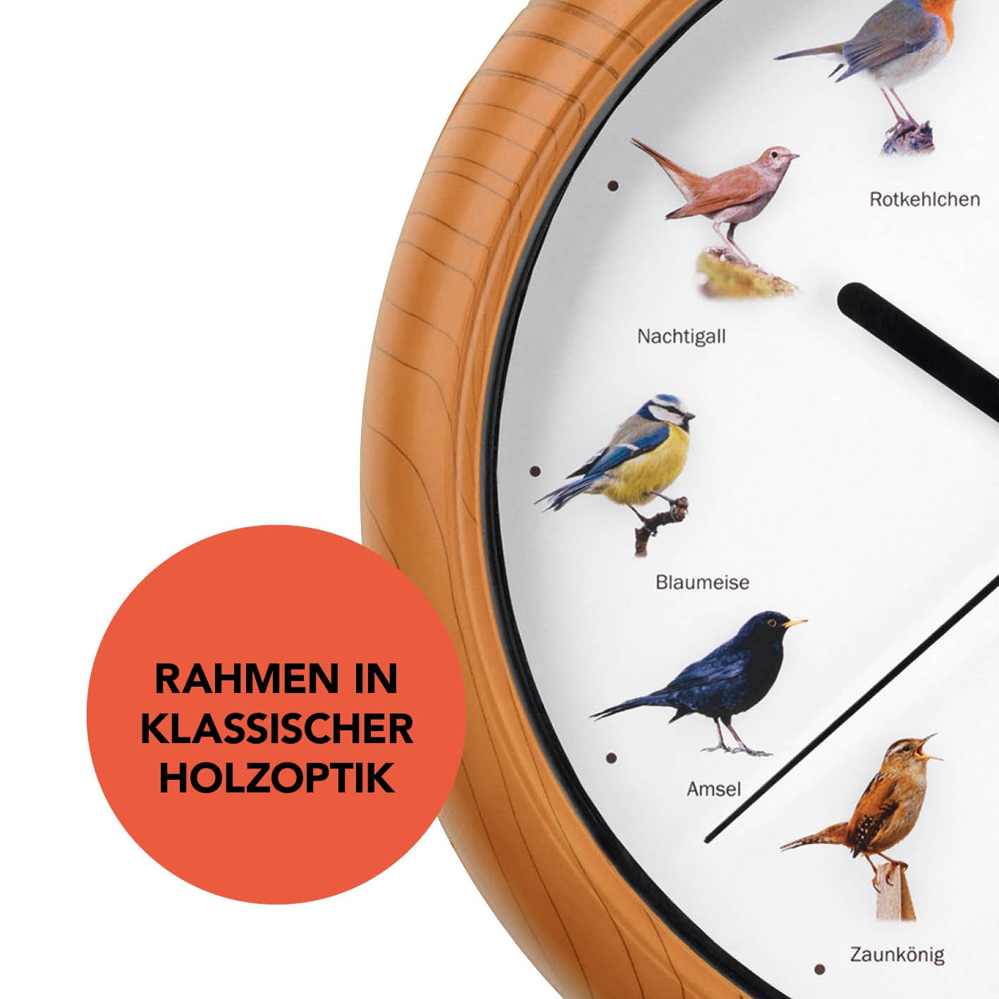 Wanduhr mit Vogelstimmen - 25cm