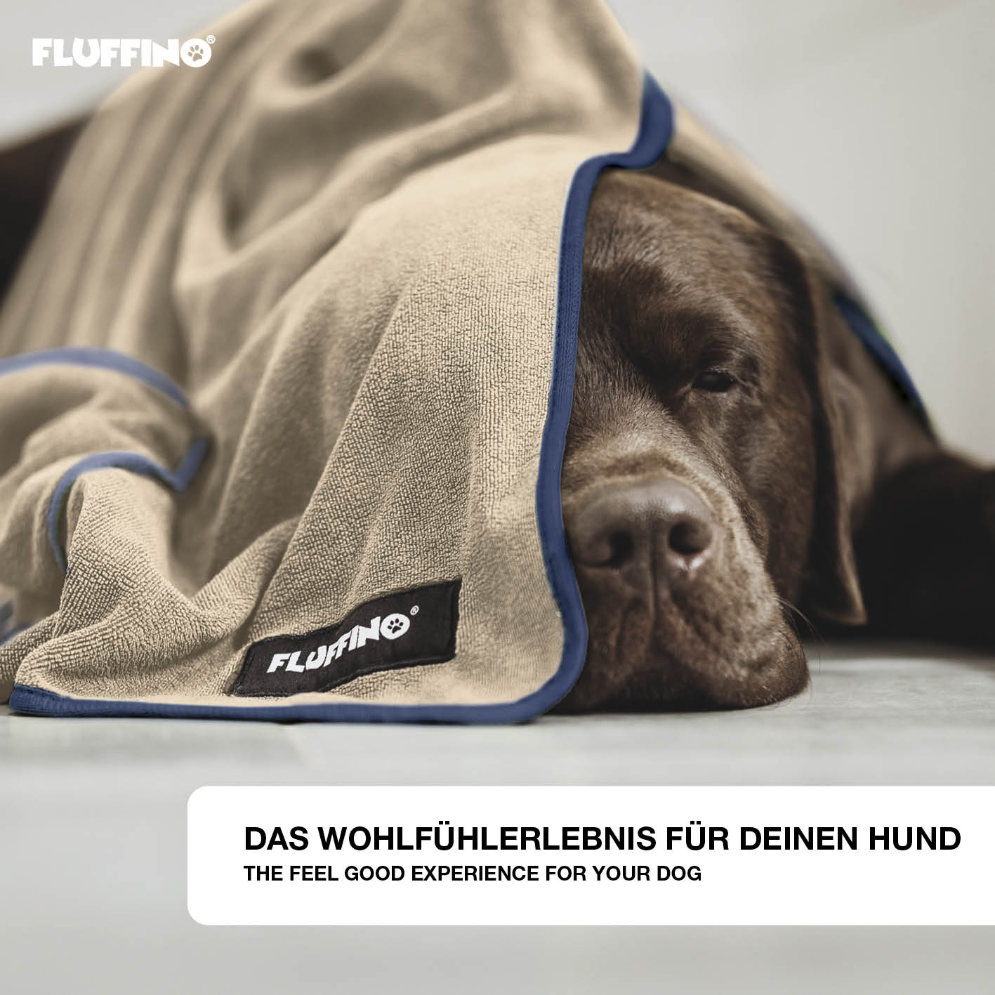 Hundehandtuch Mikrofaser – 4er-Pack - Beige & Blau
