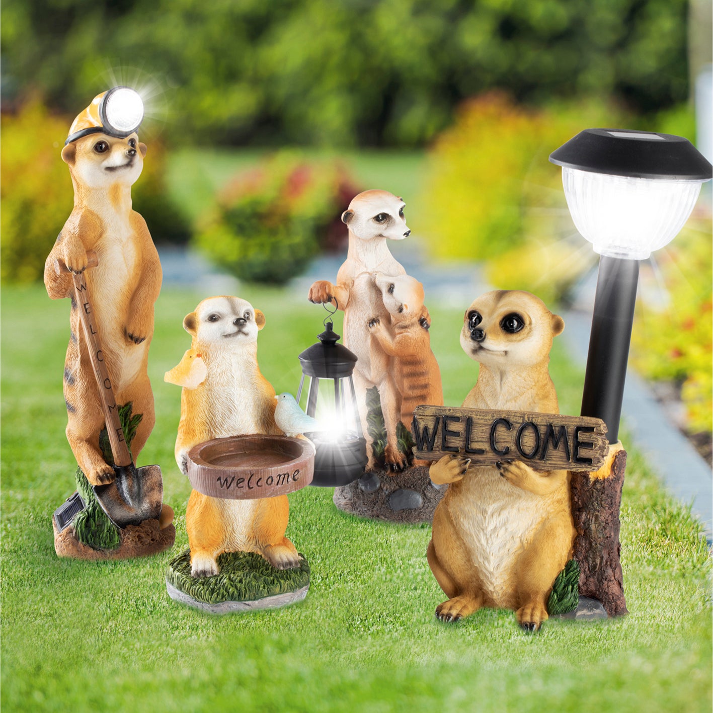 Solarleuchte Erdmännchen mit Laterne/Schild, detailgetreu bemalt, mit LED-Licht, Solarbetrieb und Welcome-Schild als Gartendeko.