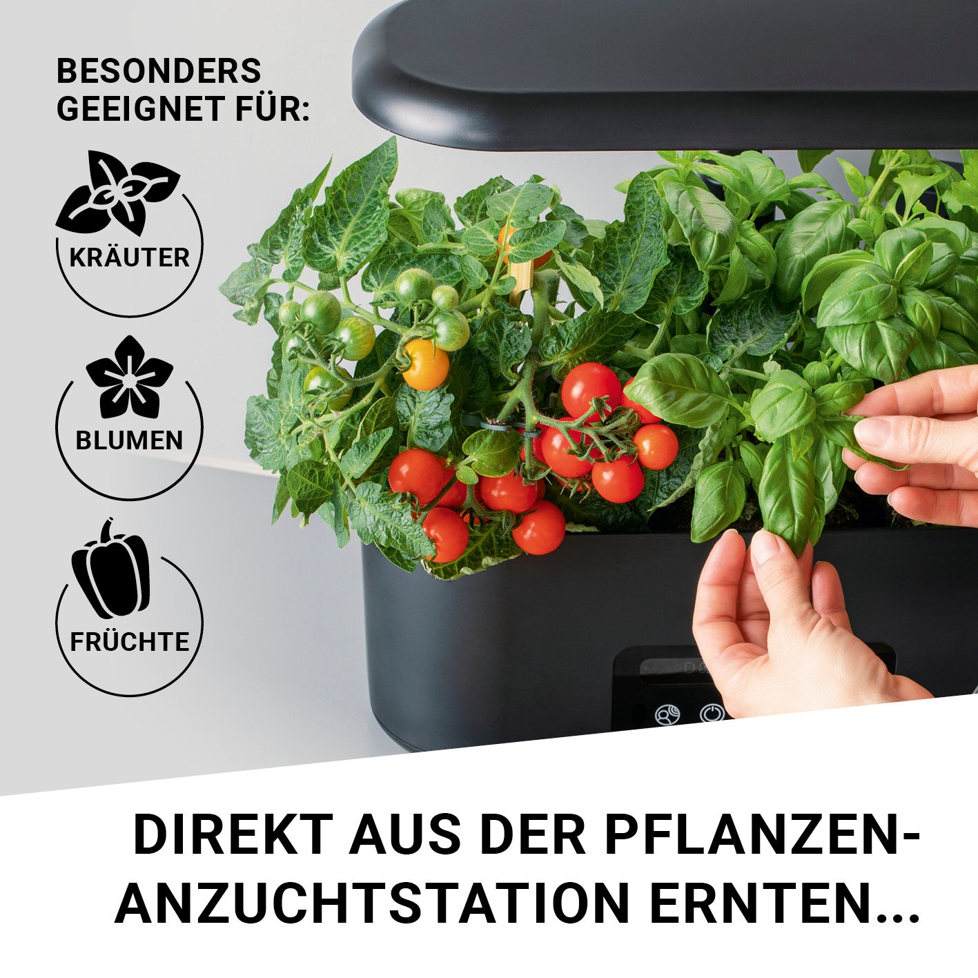 Pflanzenanzuchtstation Ersatzset für 28 Pflanzen mit Pflanzschwämmen und Samentöpfen für einfache Keimung und erfolgreiche Anzucht.