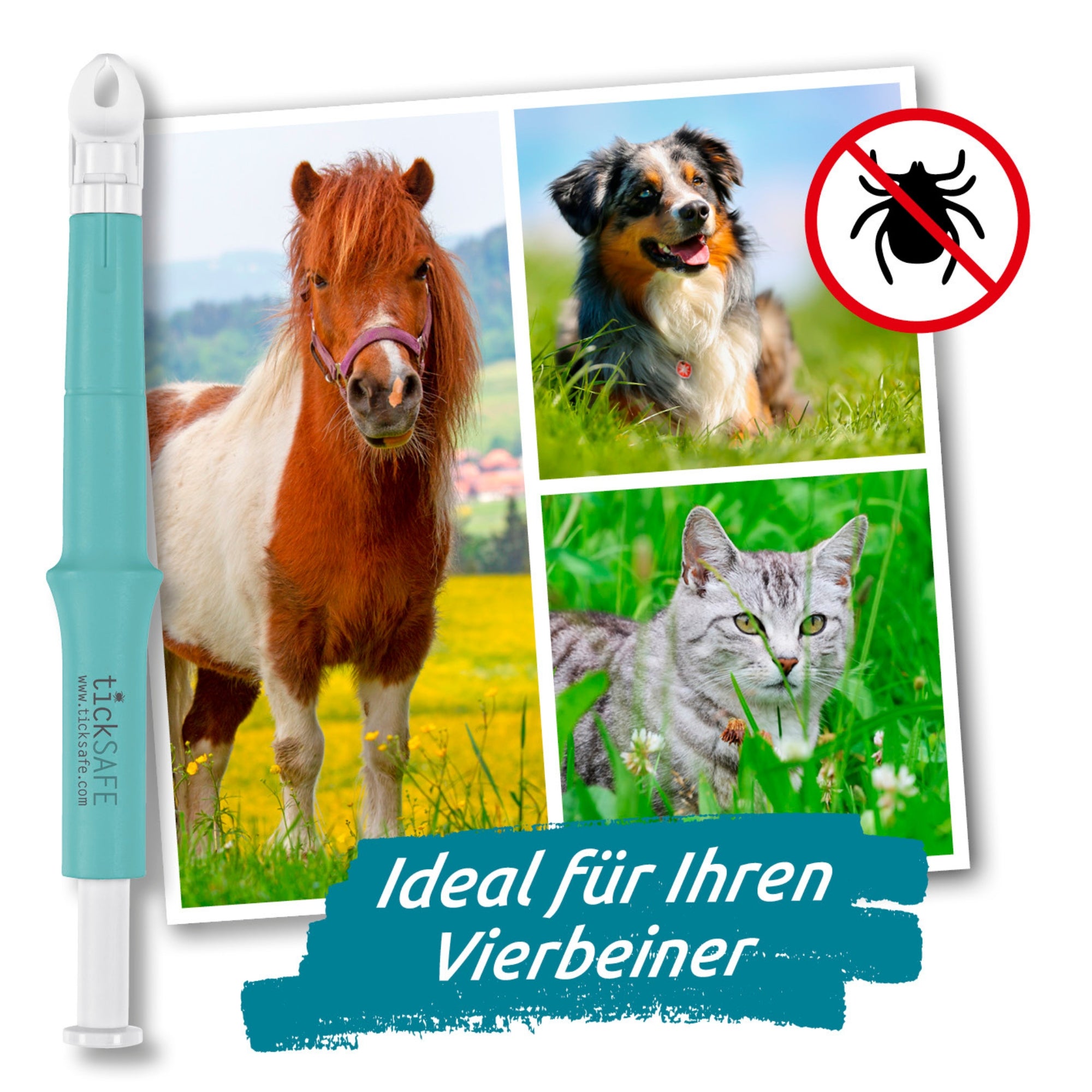 Zeckengreifer für Mensch & Tier mit rotierendem Greiferkopf - 2er-Set
