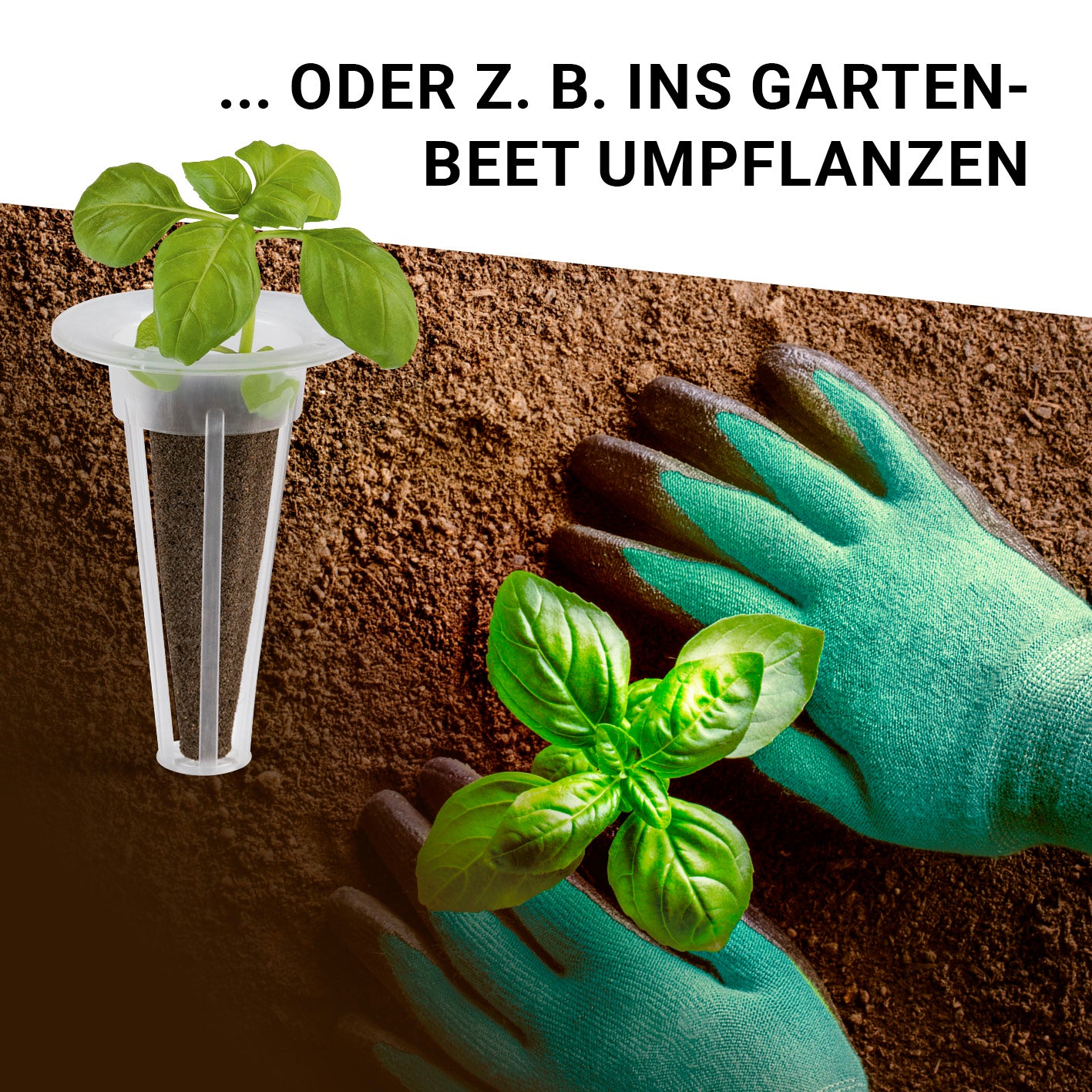 Pflanzenanzuchtstation Ersatzset für 28 Pflanzen mit Pflanzschwämmen und Samentöpfen ideal zum Umpflanzen ins Gartenbeet.