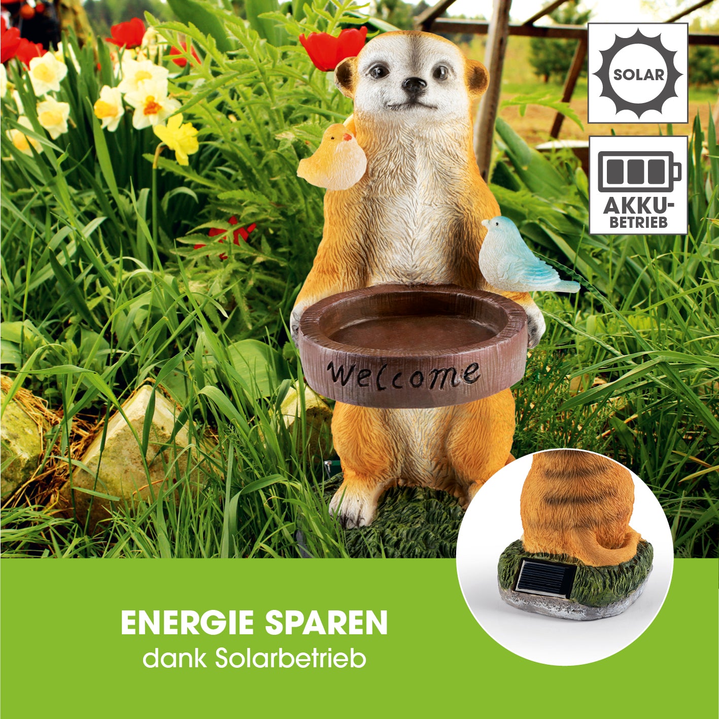 Solarleuchte Erdmännchen als Vogeltränke