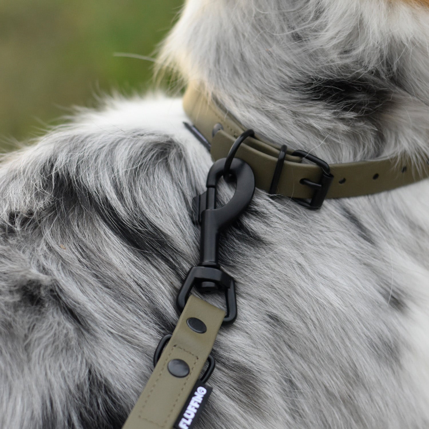 Hundehalsband aus BioThane - 5-Fach verstellbare Größe S in Oliv, veganer Lederersatz, wasserfest und reißfest.