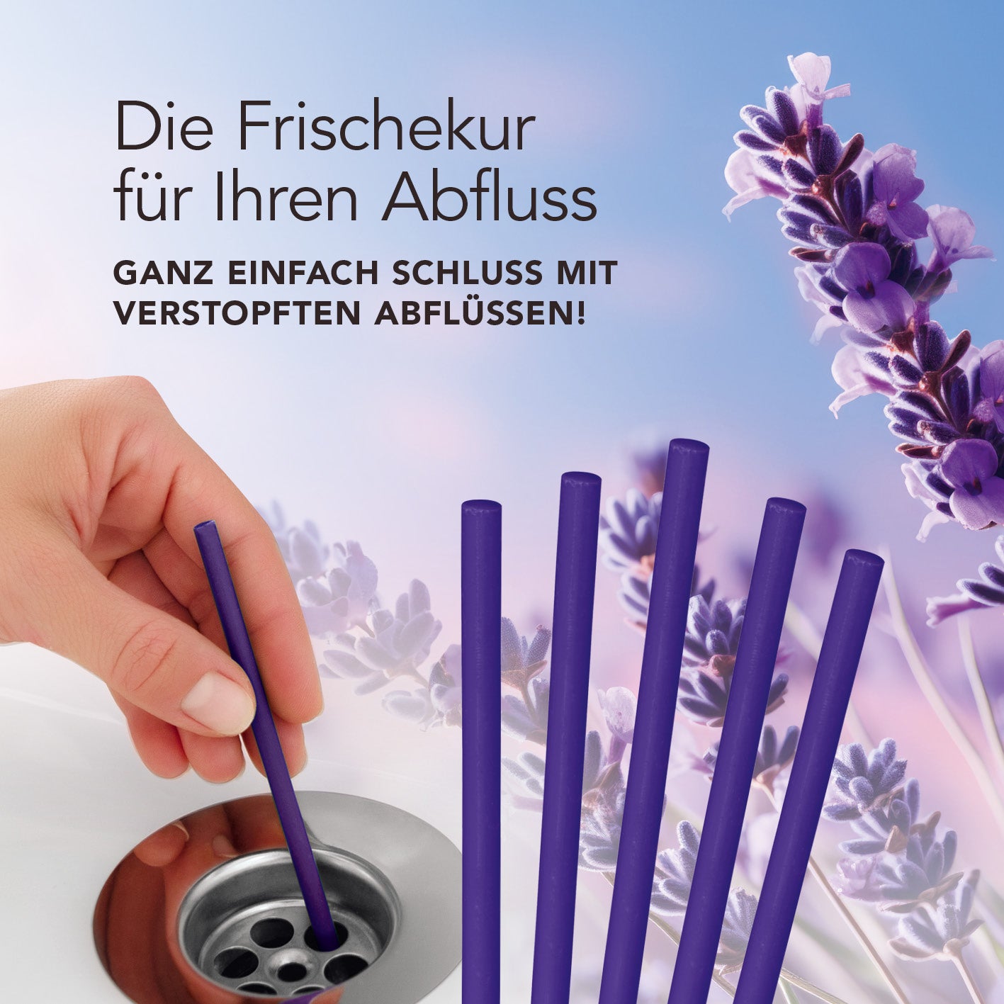 Abflussreiniger-Stick Lavendel - 50er-Set zur schnellen Reinigung und Geruchsbeseitigung für alle gängigen Abflüsse mit Lavendelduft.
