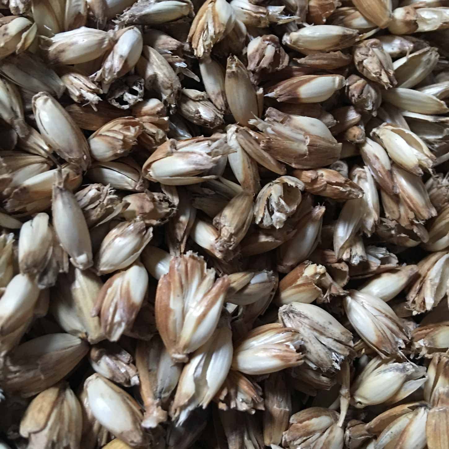 Bio Dinkelspelz zum Befüllen & Nachfüllen von Kissen & Bolstern - 2 kg, gereinigter, biologischer Dinkelspelz für Yoga Komfort.