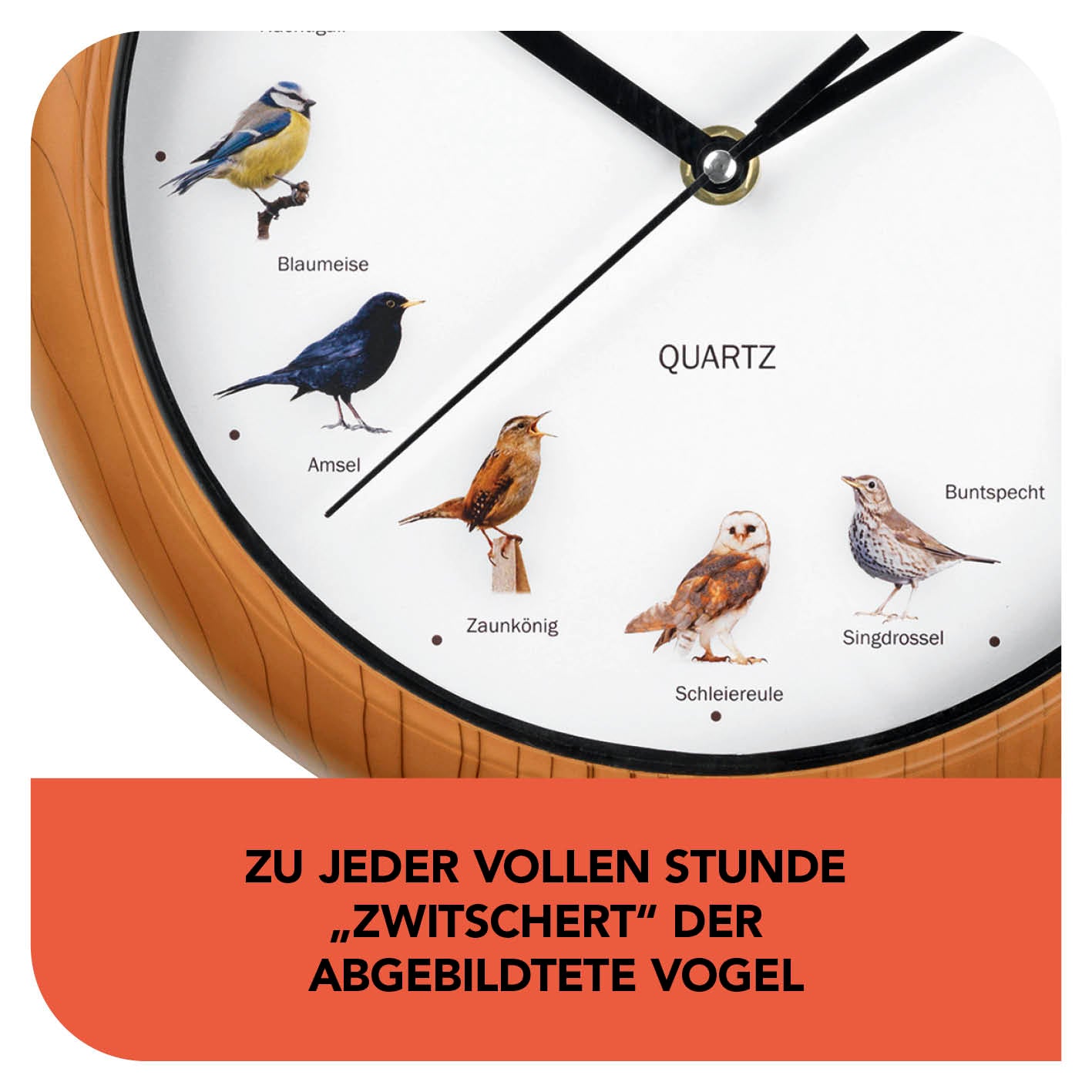 Wanduhr mit Vogelstimmen - 25cm