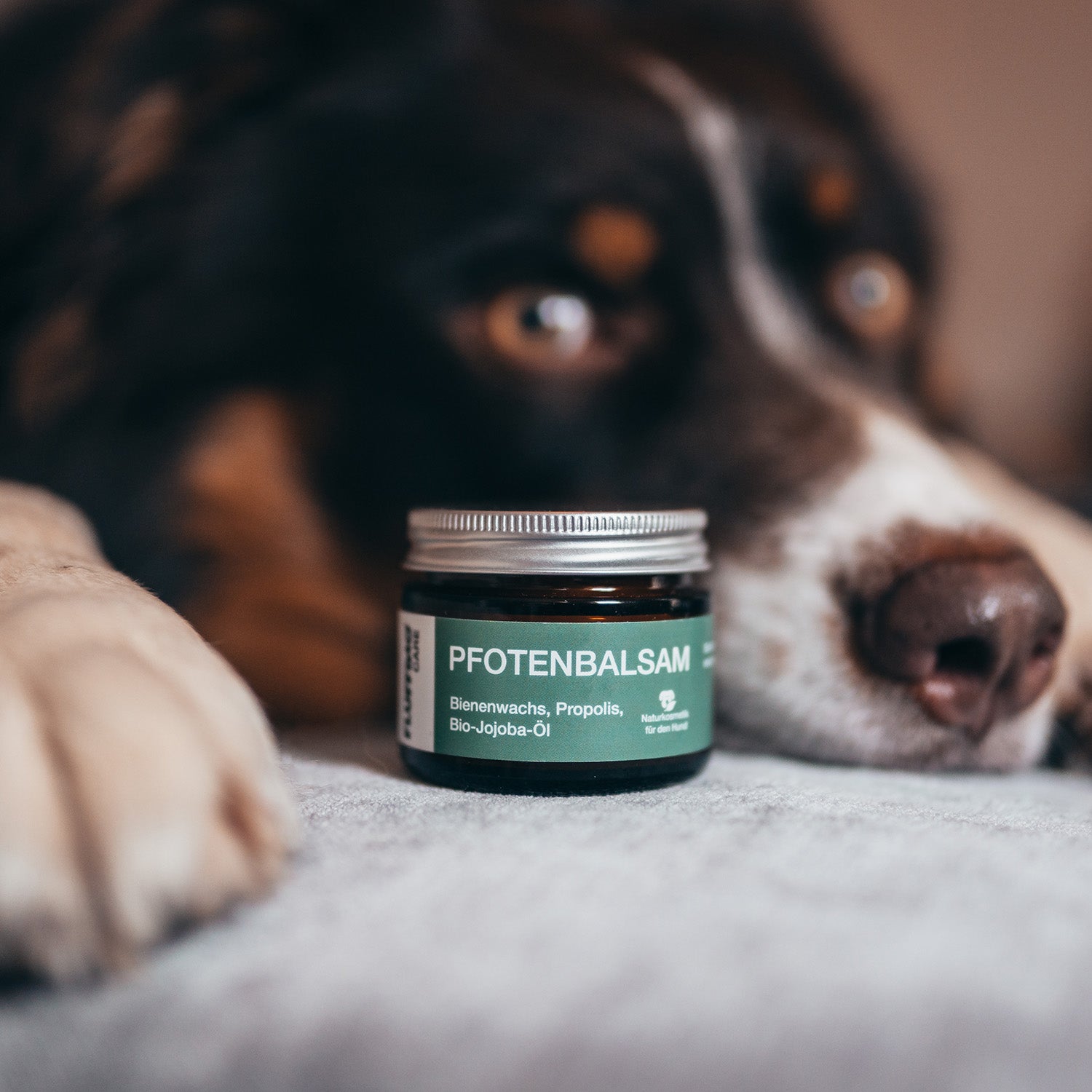 Pfotenbalsam - 50 ml - 100% natürlicher Pfotenschutz