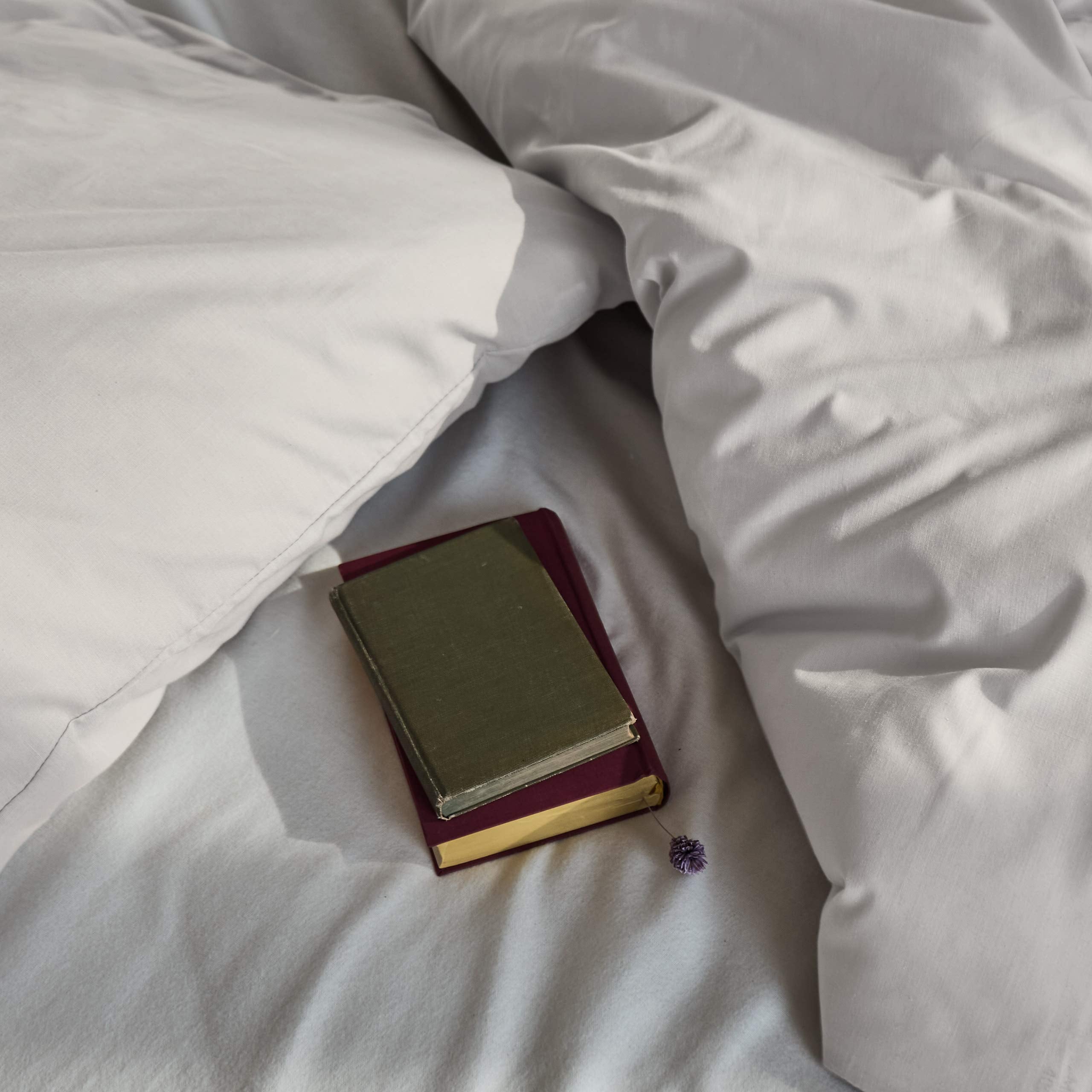 Premium Bettwäsche Everyday - Ganzjahres Bettbezug 155x200 cm & Kissenbezug 80x80 cm in Grau aus weicher Polycotton Qualität.