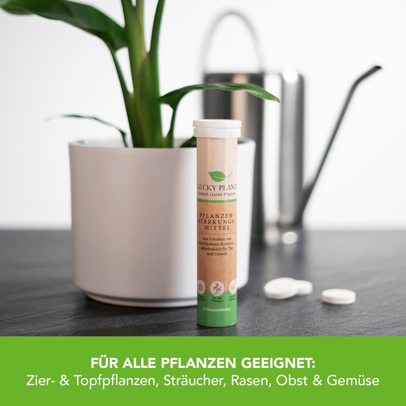 Pflanzenstärkung Tablette - 20 Tabs zur Förderung von gesundem Pflanzenwachstum und längerer Blütezeit, umweltfreundlich und für alle Pflanzen geeignet.