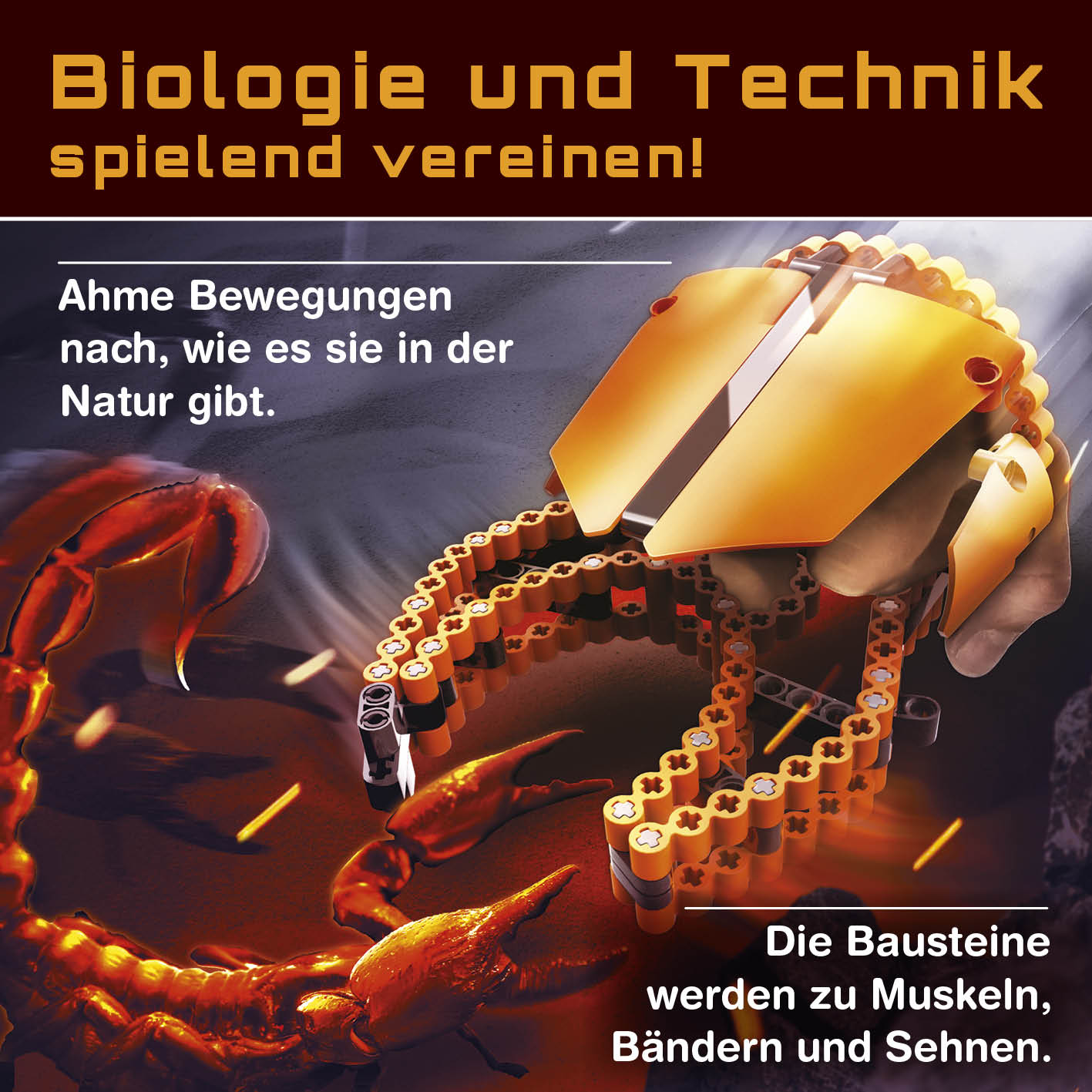 Baustein-Set "Skorpion & Seepferdchen" - flexible Flex-Bausteine für natürliche Bewegungen, Muskeln, Bänder und Sehnen.