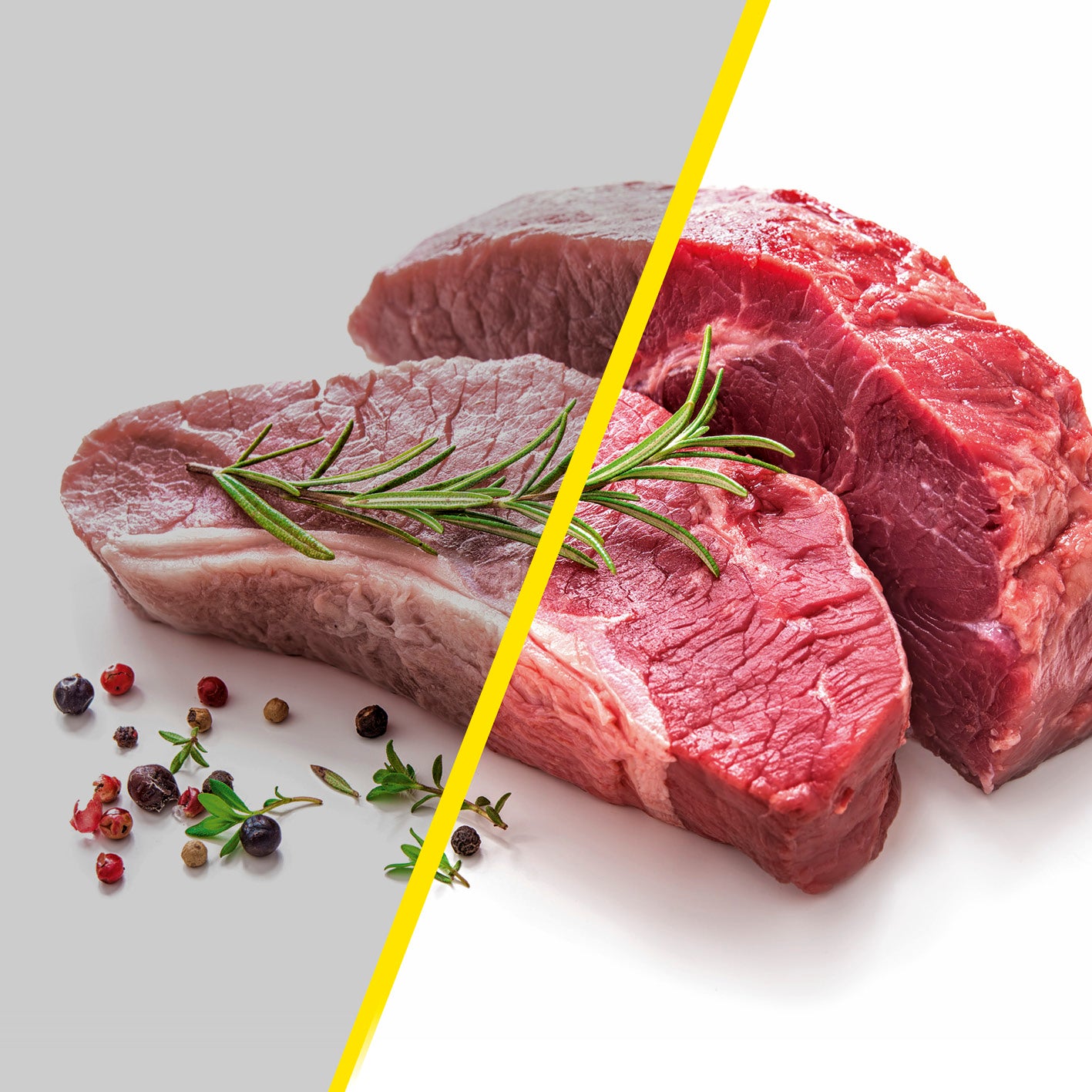 Frisches rohes Fleisch mit Kräutern und Gewürzen, ideal für Vakuumiergerät - Vakuumierer für Lebensmittel.