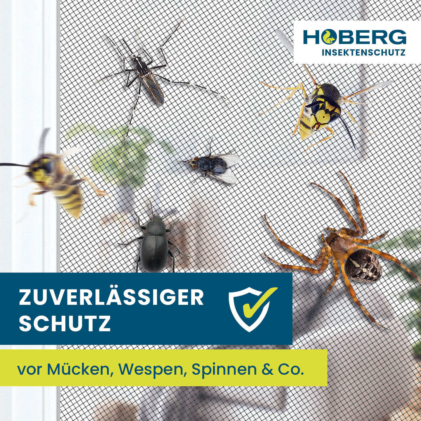 Insektenschutzvorhang - mit XXL-Magnetbändern - 80 x 210 cm schützt zuverlässig vor Mücken, Wespen, Spinnen und anderen Insekten.