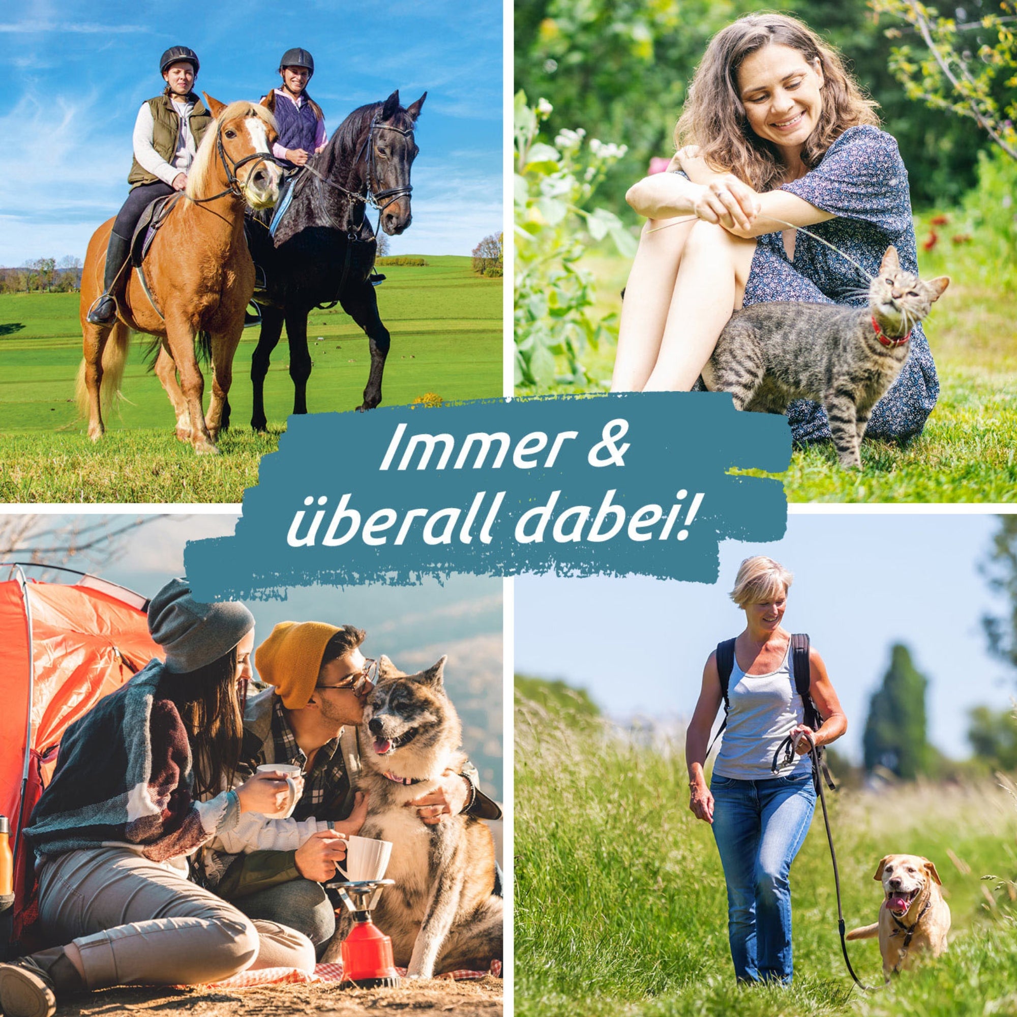 Zeckengreifer für Tiere mit rotierendem Greiferkopf