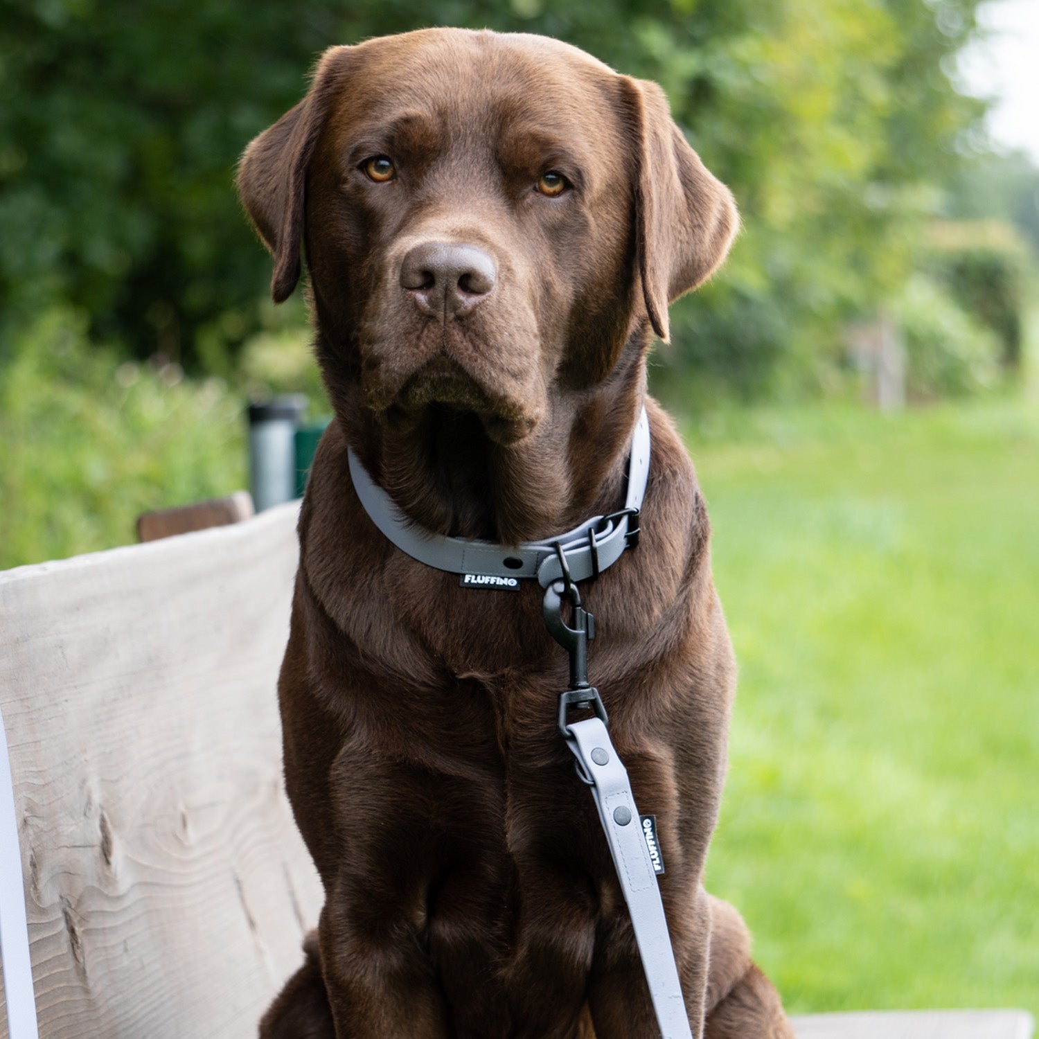 Hundehalsband aus BioThane - 5-Fach verstellbare - Größe L - Grau - wasserfest, reißfest, veganer Lederersatz für großen Hund.