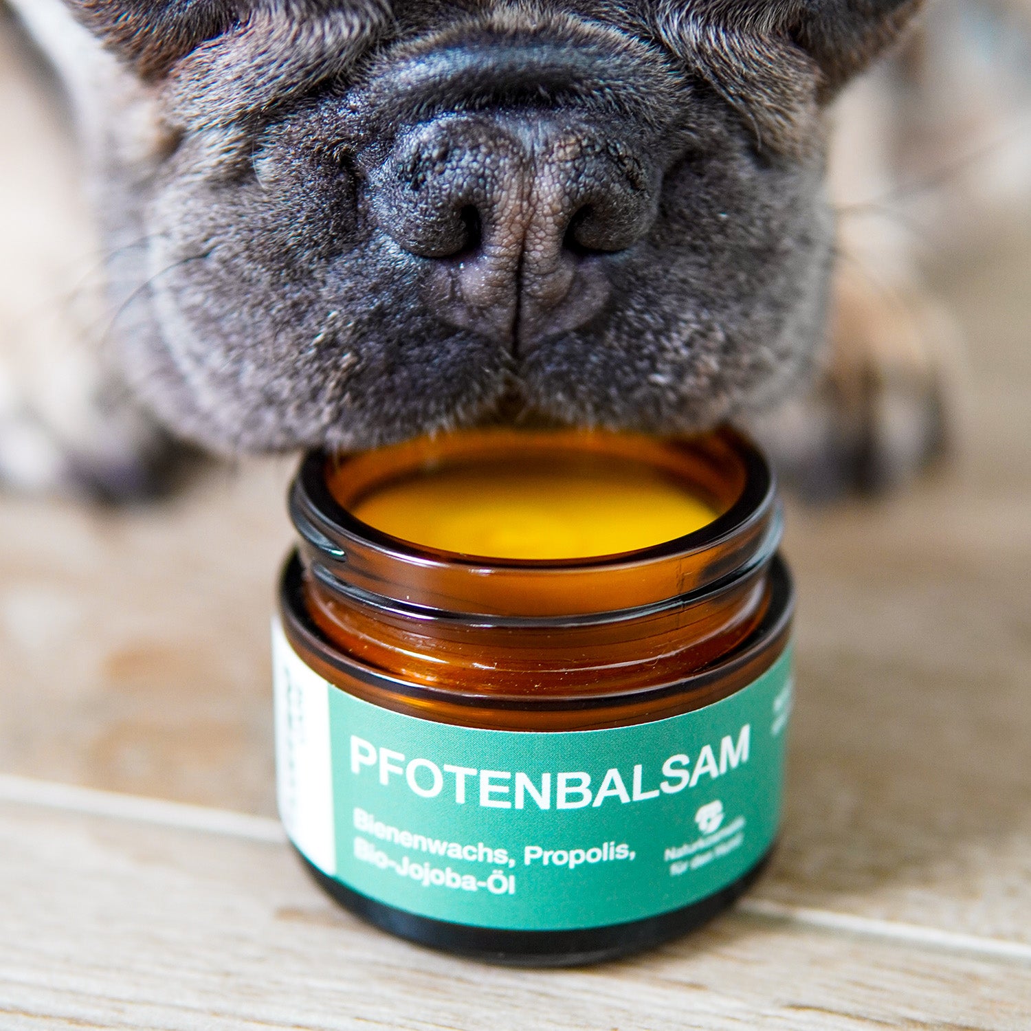 Pfotenbalsam - 50 ml - 100% natürlicher Pfotenschutz