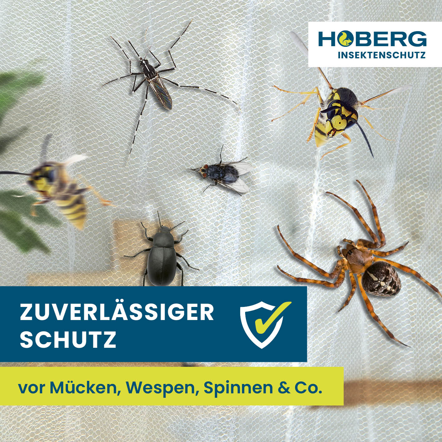Insekten-Baldachin von HOBERG schützt zuverlässig vor Mücken, Wespen, Spinnen und weiteren Insekten im Schlafzimmer oder Outdoor.