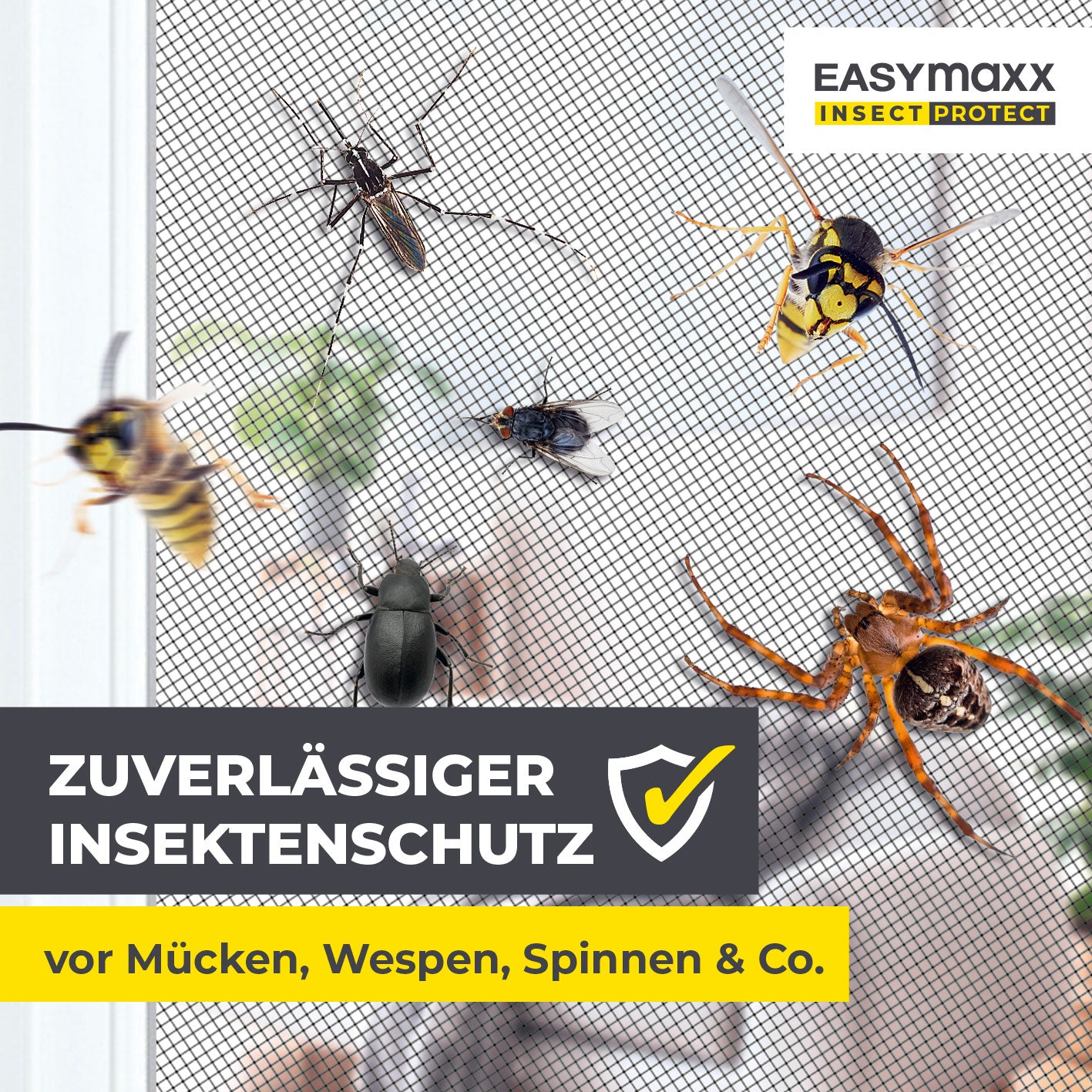 Teleskop-Insektenschutzgitter mit integriertem Netz - 4er-Set - weiß schützt zuverlässig vor Mücken, Wespen, Spinnen und anderen Insekten.