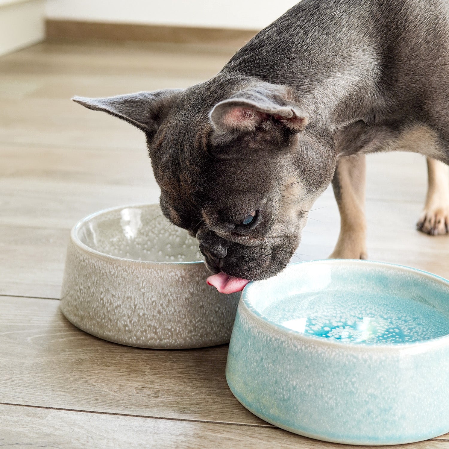 Hundenapf / Futternapf Keramik - 800 ml - Lebensmittelecht - Blau mit handgemalter Farbglasur, spülmaschinenfest, für kleine und mittelgroße Hunde.