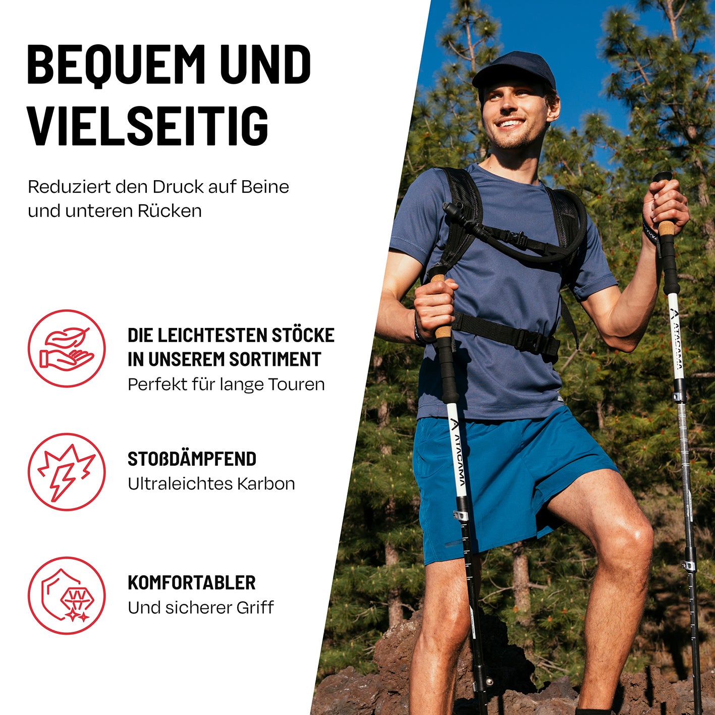 Teleskop Wanderstöcke - Carbon - 110 cm / 135 cm